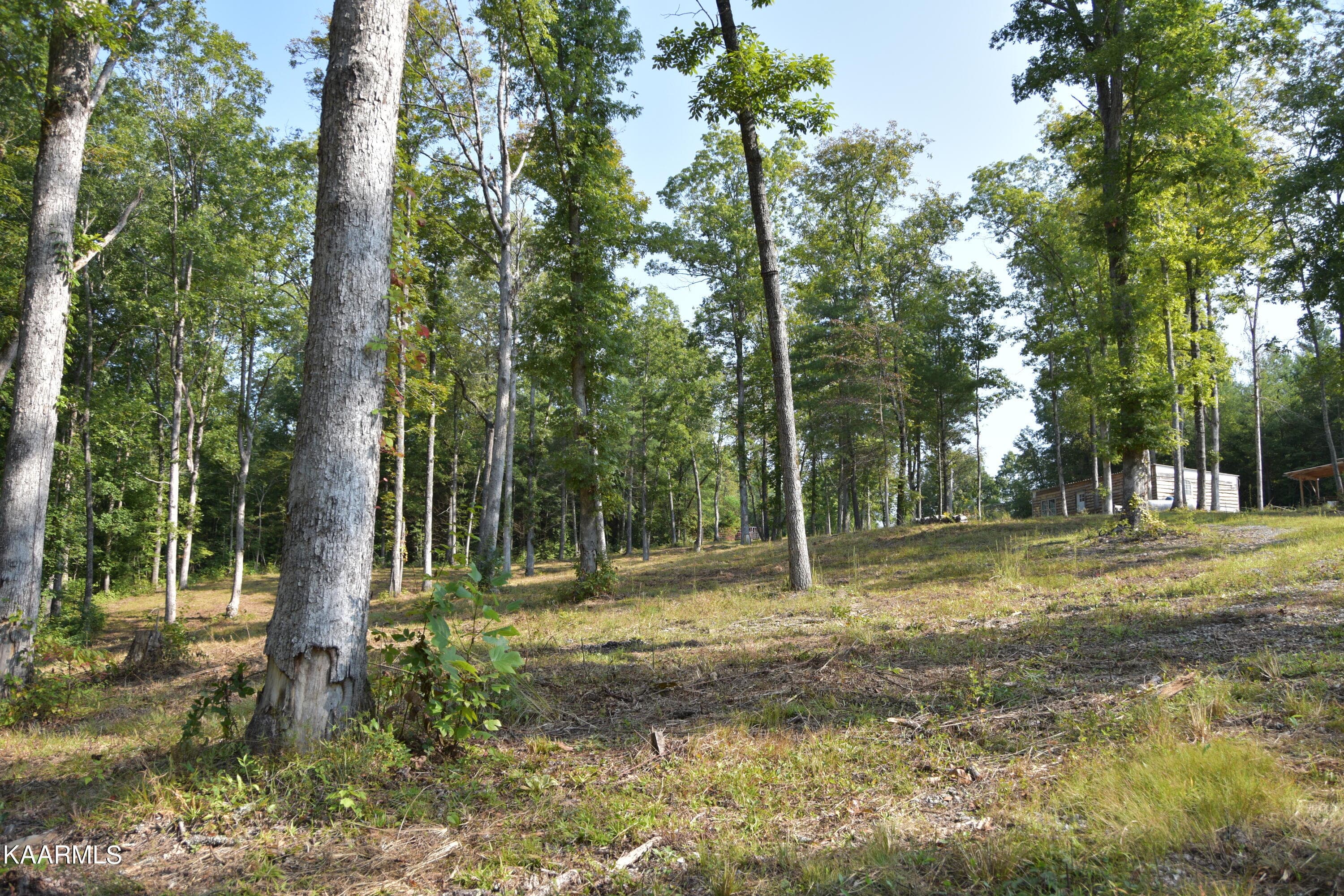 land - 566 William Branch Rd, Lancing, TN 37770