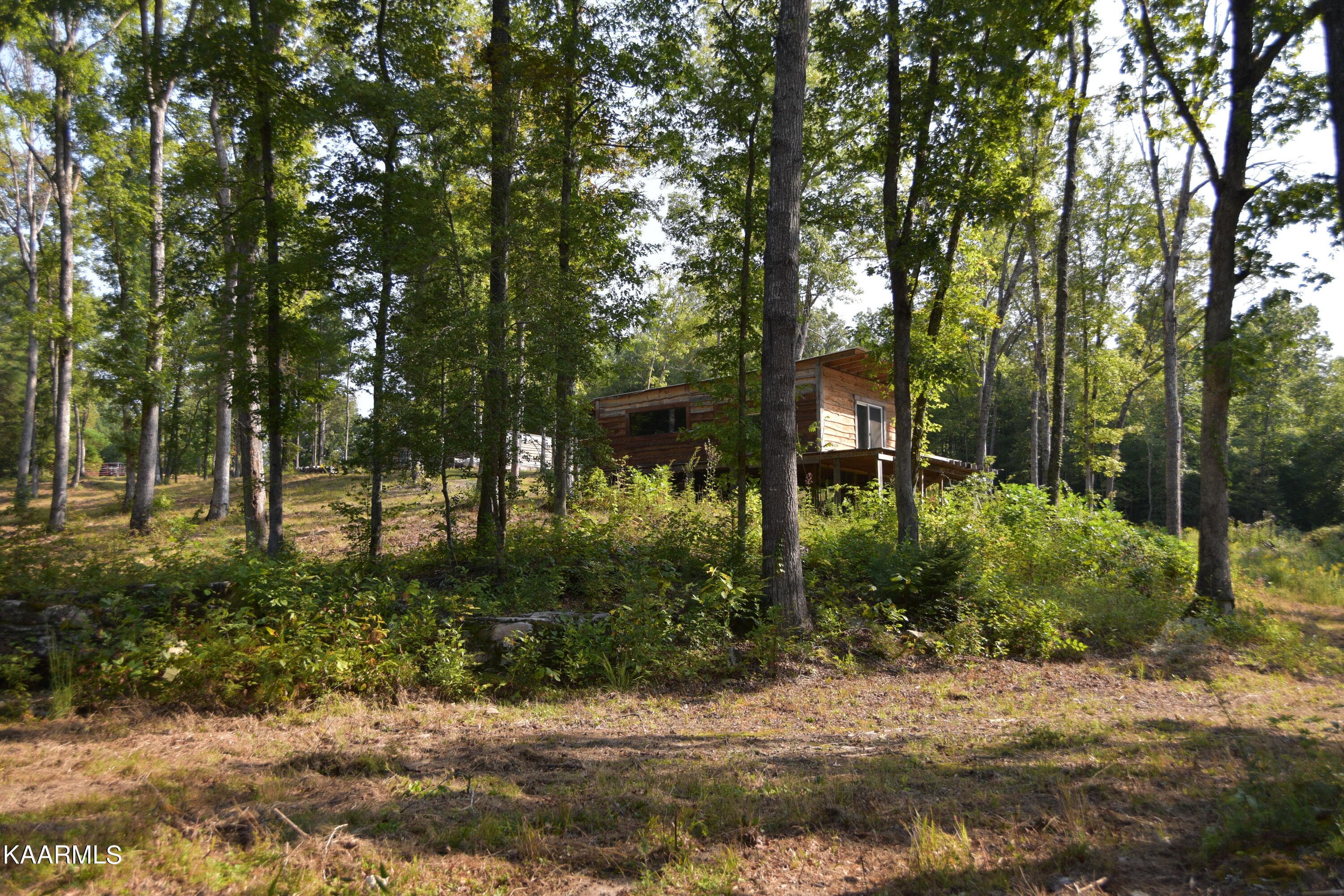 landwithcabin - 566 William Branch Rd, Lancing, TN 37770