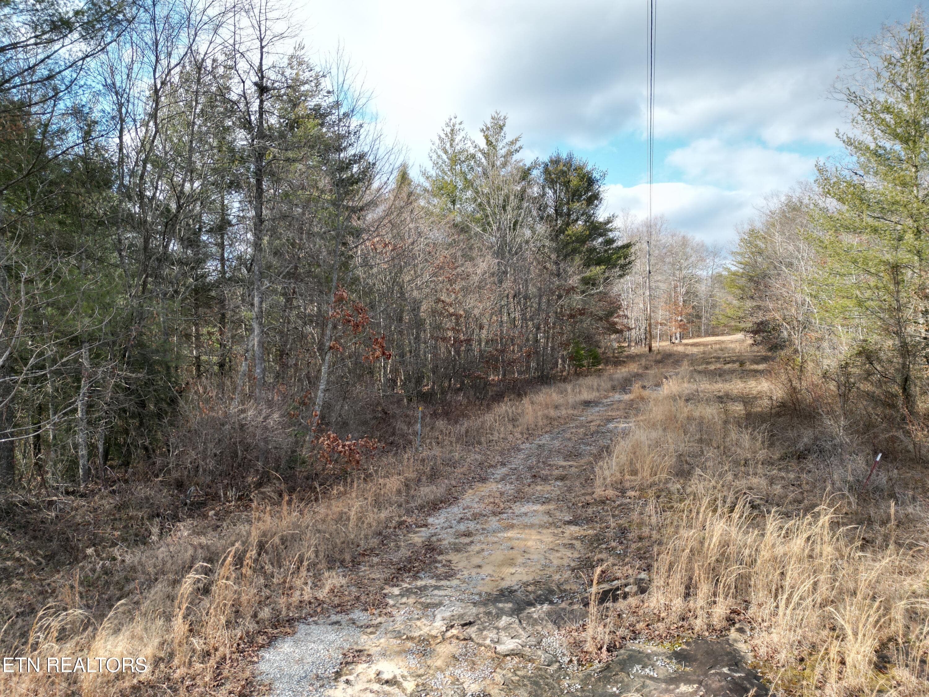 DJI_0392 - 566 William Branch Rd, Lancing, TN 37770
