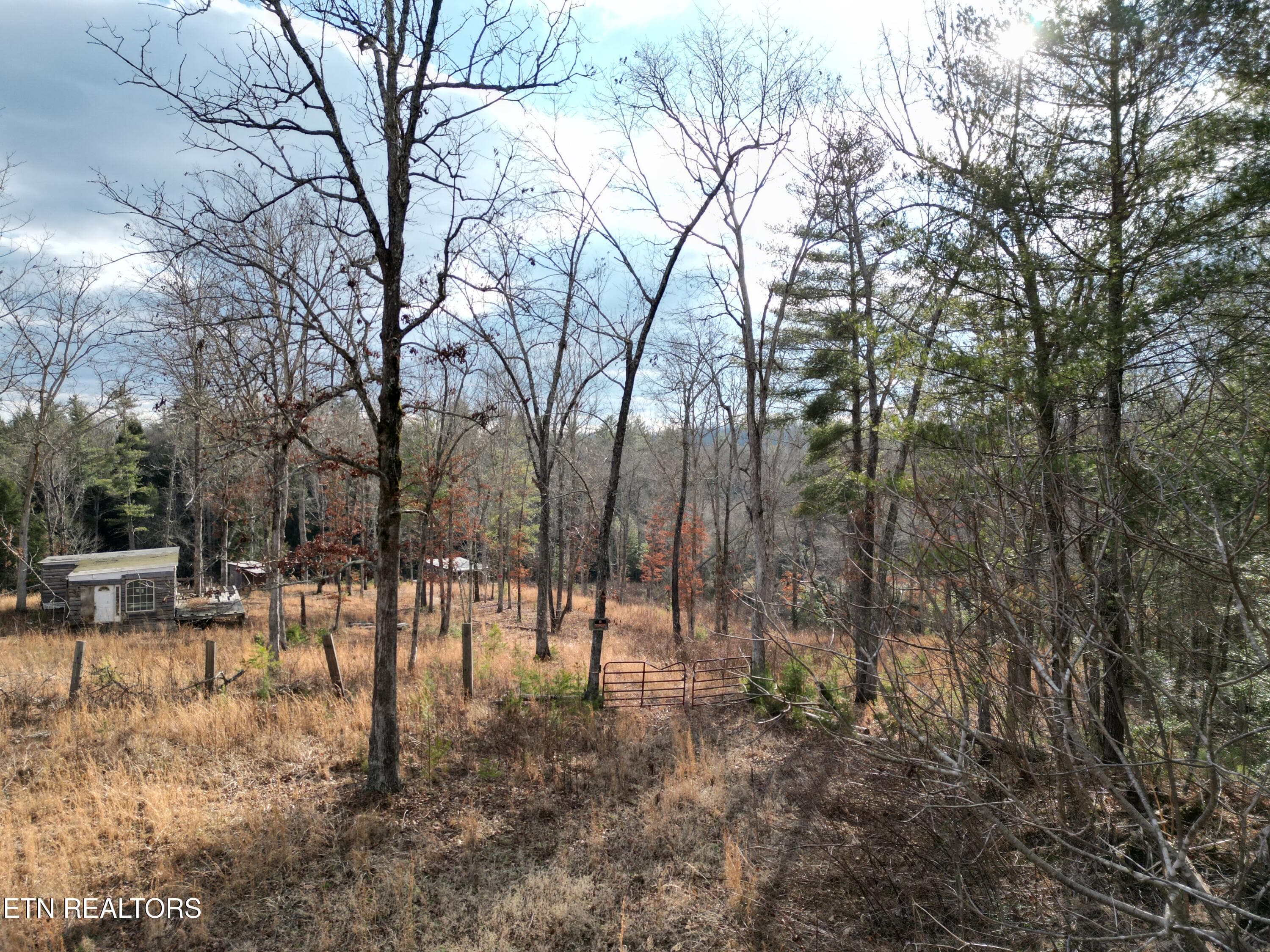 DJI_0393 - 566 William Branch Rd, Lancing, TN 37770
