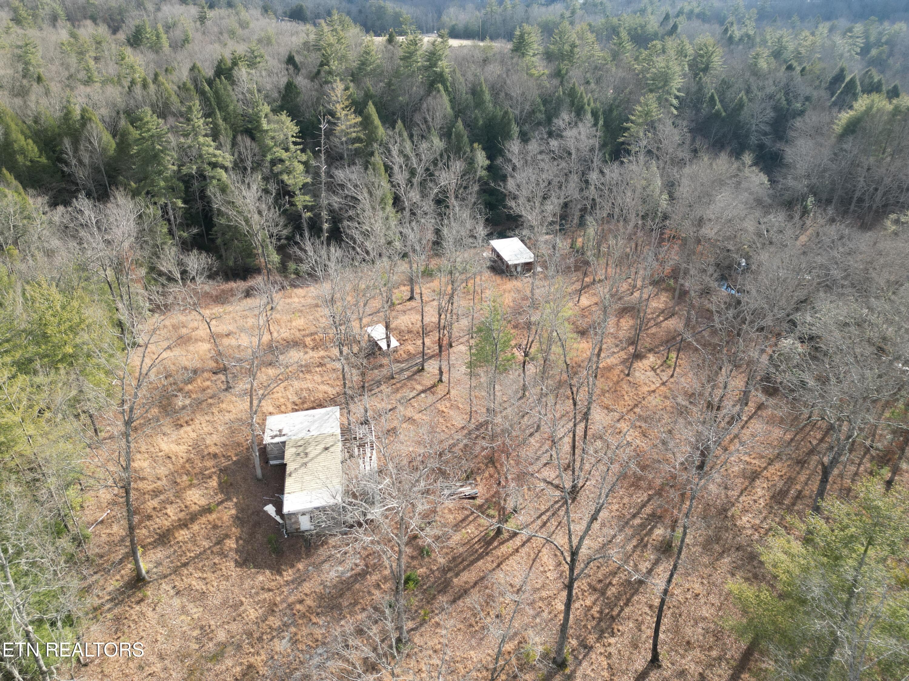DJI_0396 - 566 William Branch Rd, Lancing, TN 37770