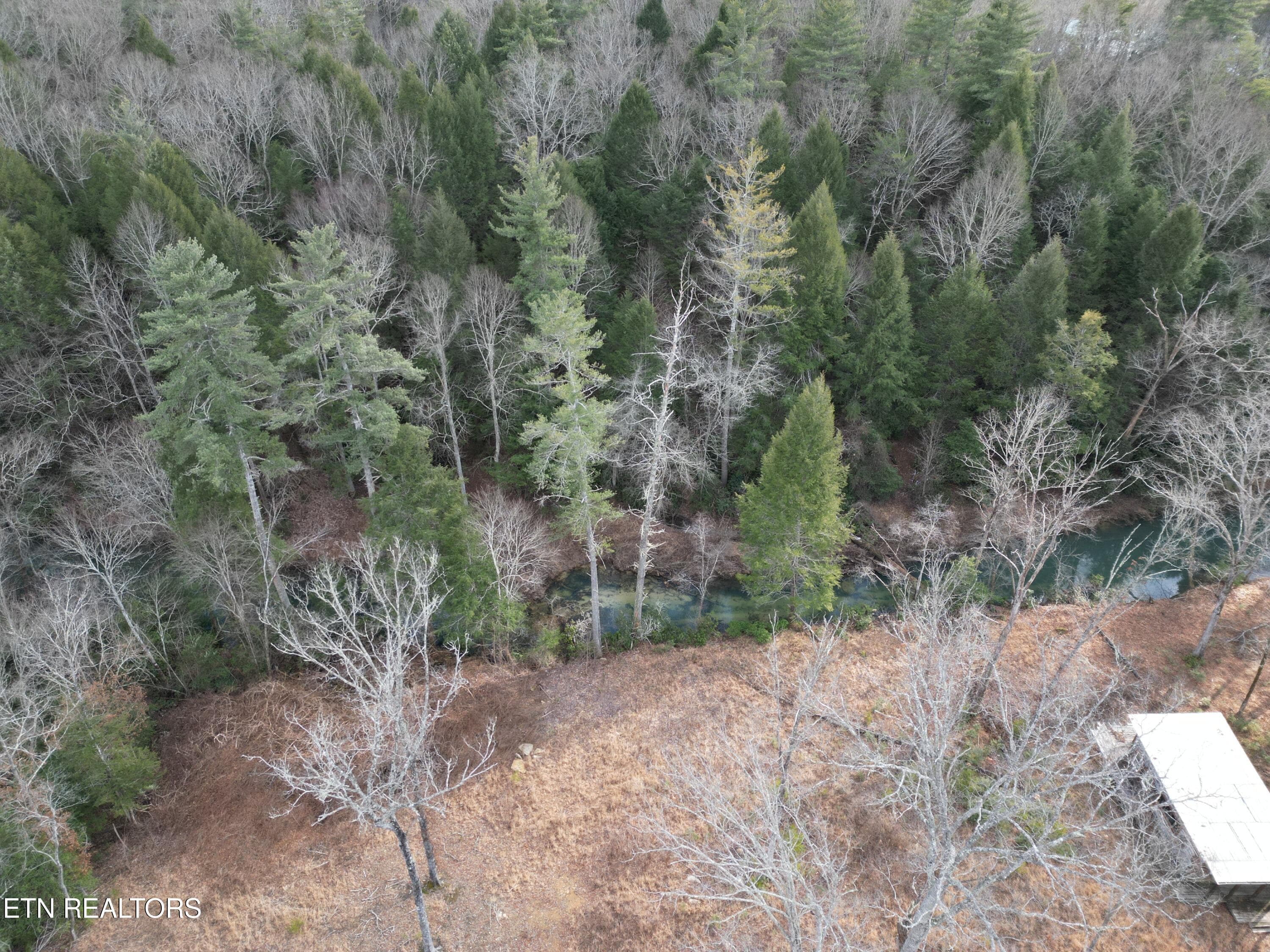 DJI_0398 - 566 William Branch Rd, Lancing, TN 37770