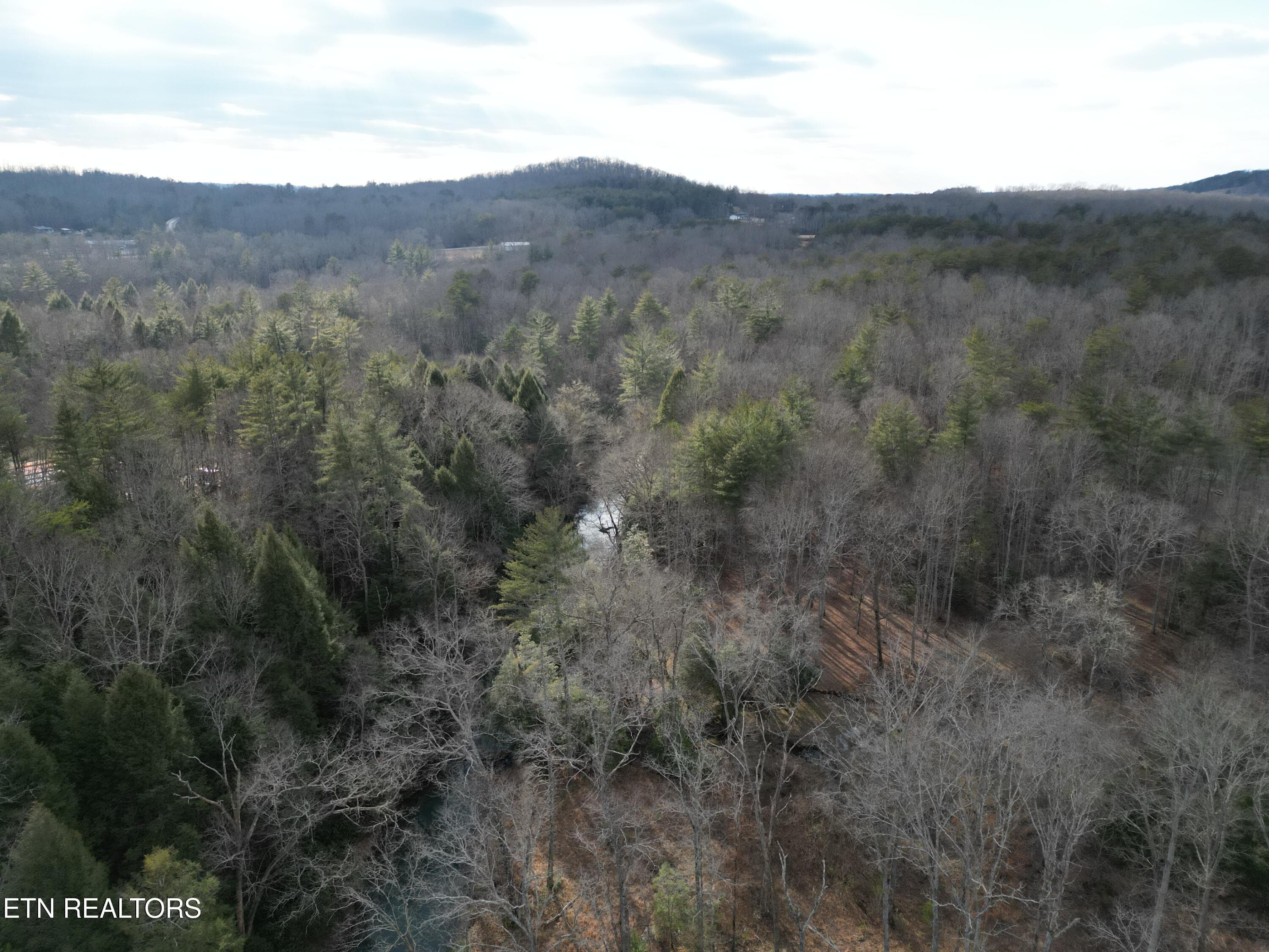 DJI_0400 - 566 William Branch Rd, Lancing, TN 37770