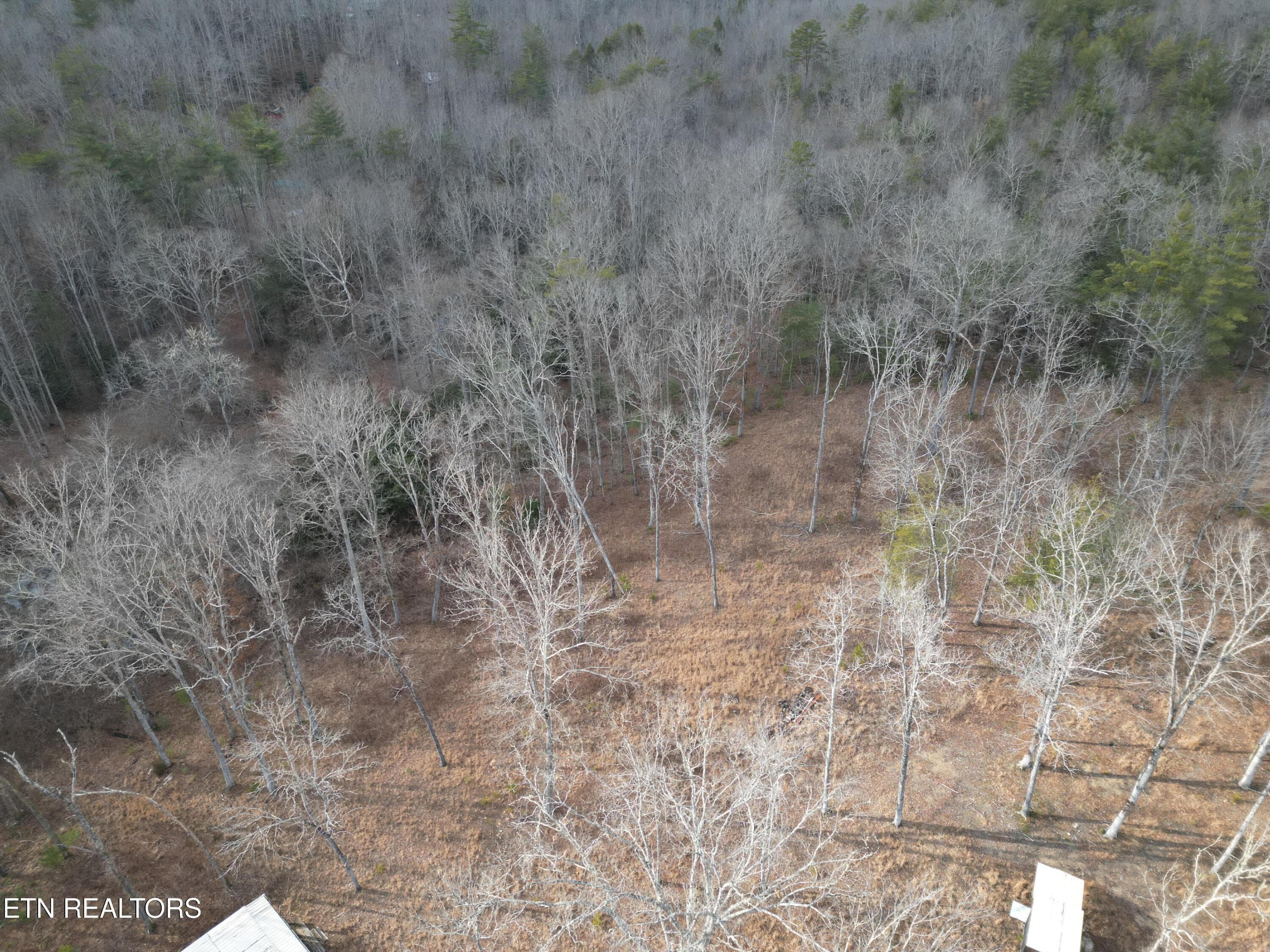 DJI_0401 - 566 William Branch Rd, Lancing, TN 37770