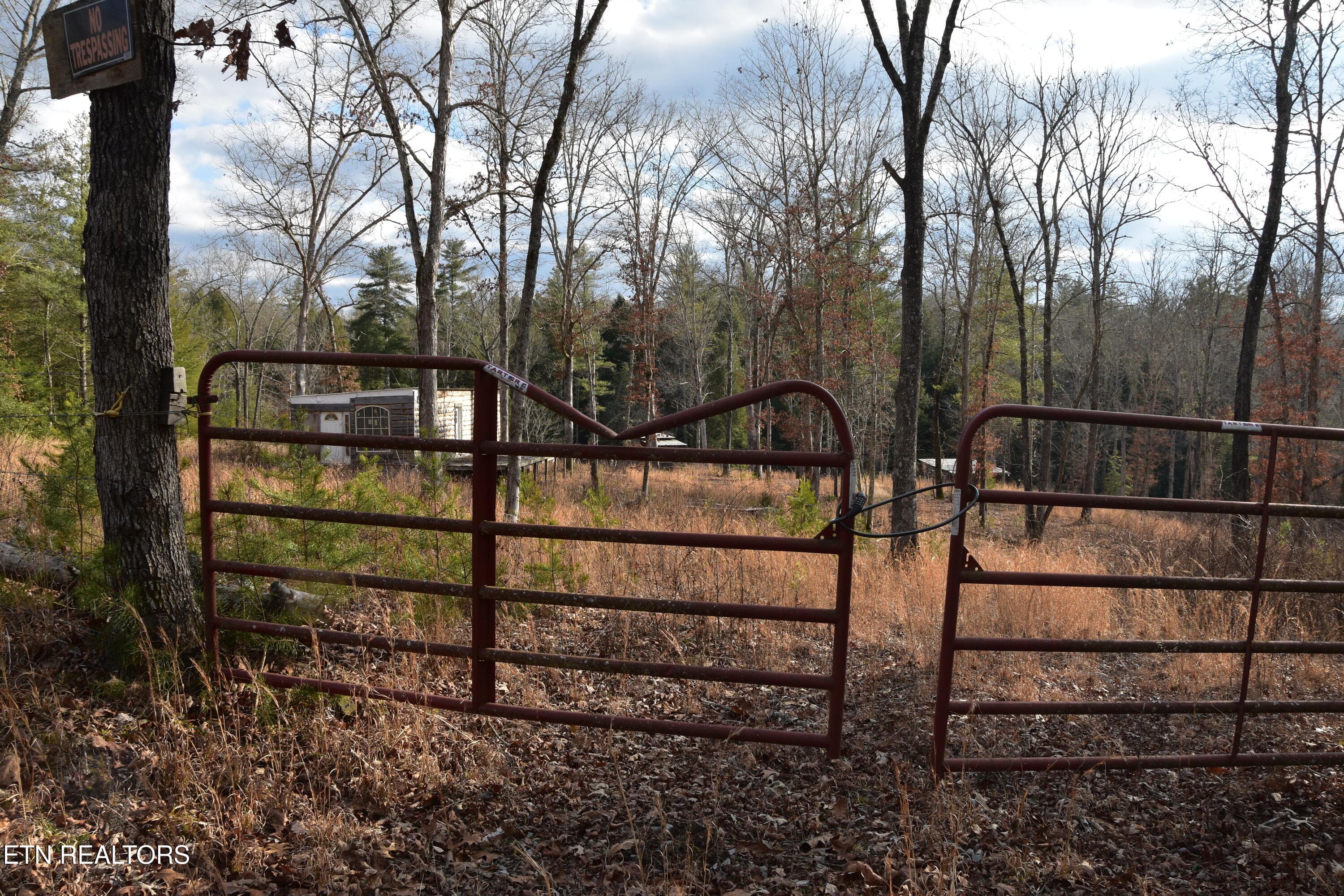 DSC_1375 - 566 William Branch Rd, Lancing, TN 37770