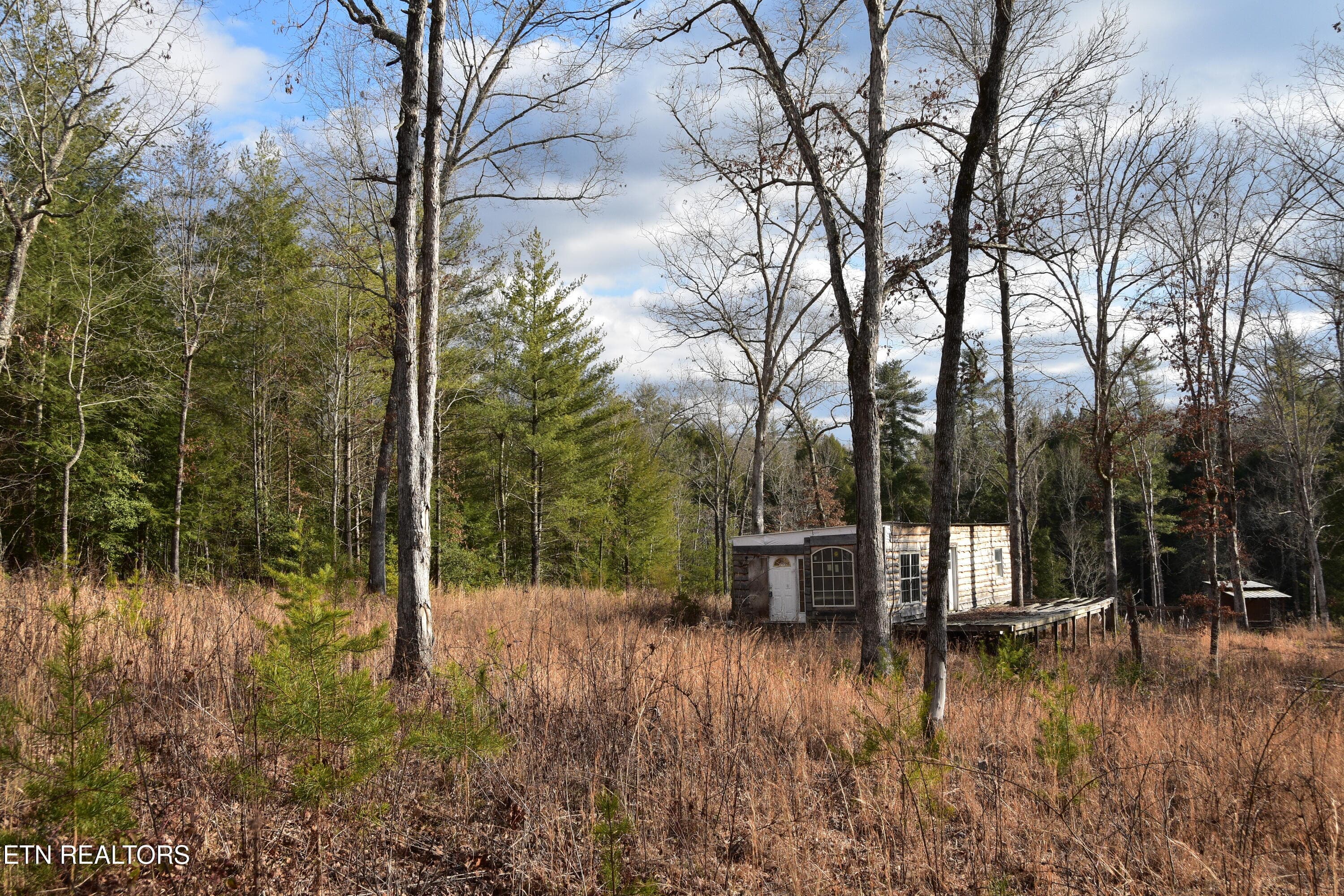 DSC_1376 - 566 William Branch Rd, Lancing, TN 37770