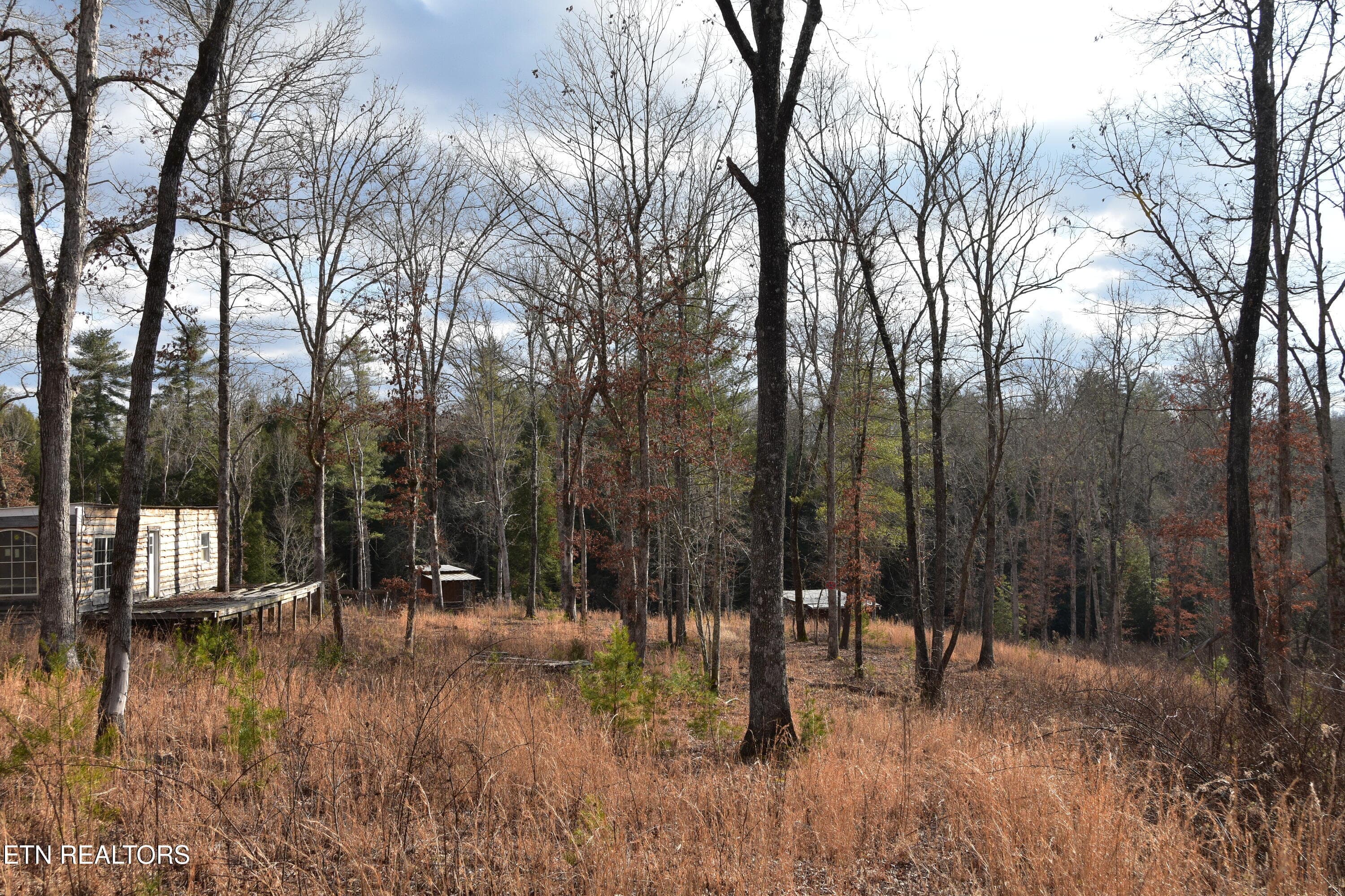 DSC_1377 - 566 William Branch Rd, Lancing, TN 37770