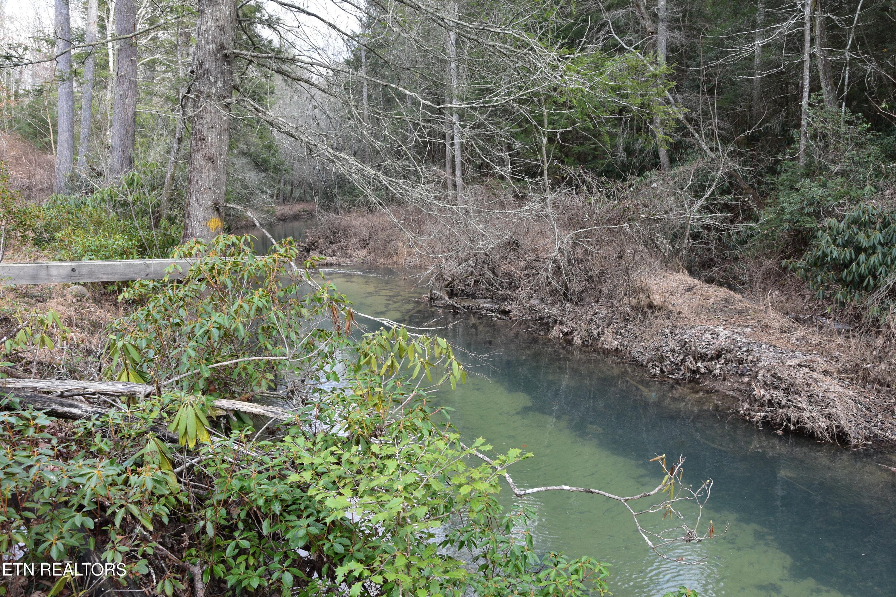DSC_1389 - 566 William Branch Rd, Lancing, TN 37770
