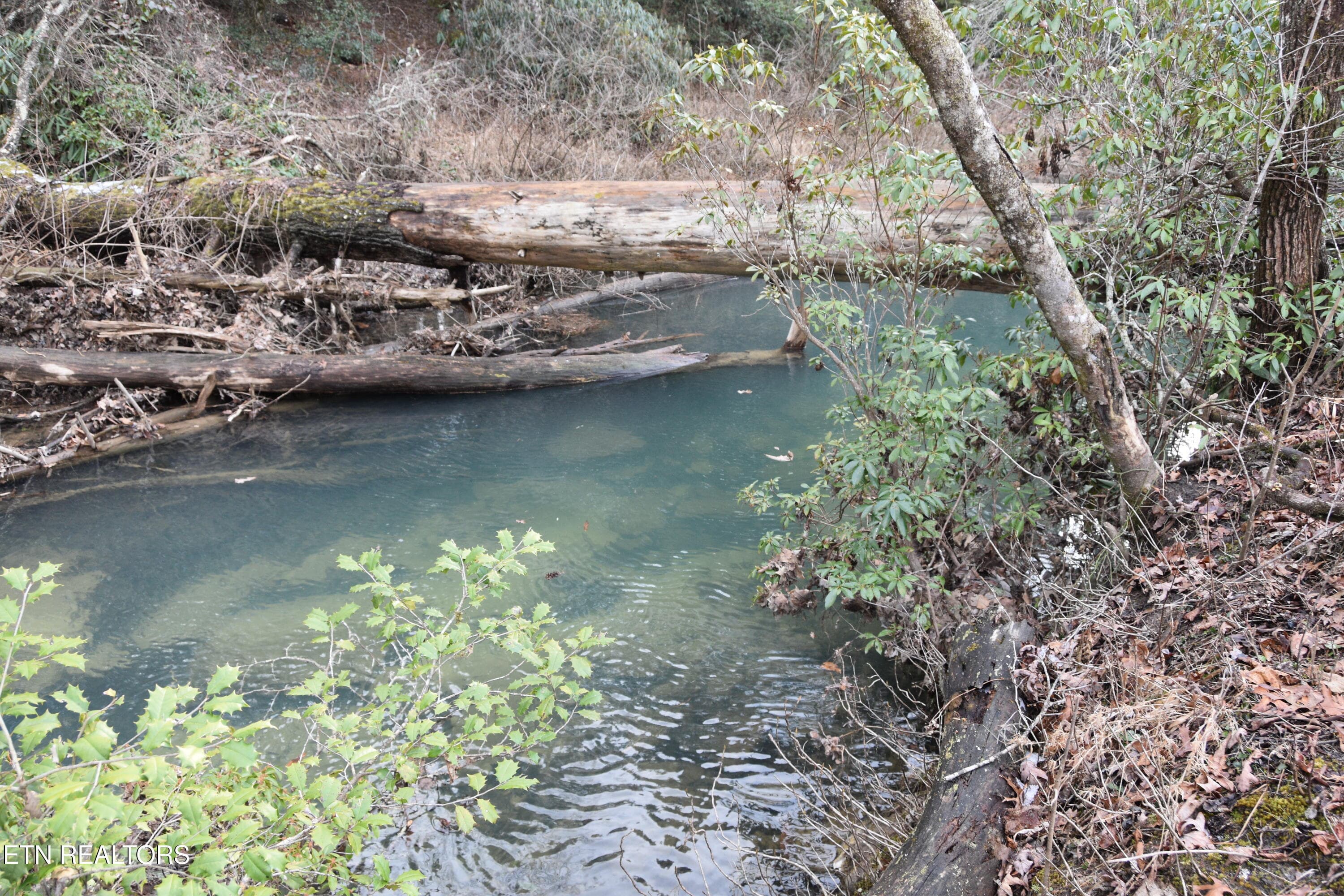 DSC_1390 - 566 William Branch Rd, Lancing, TN 37770
