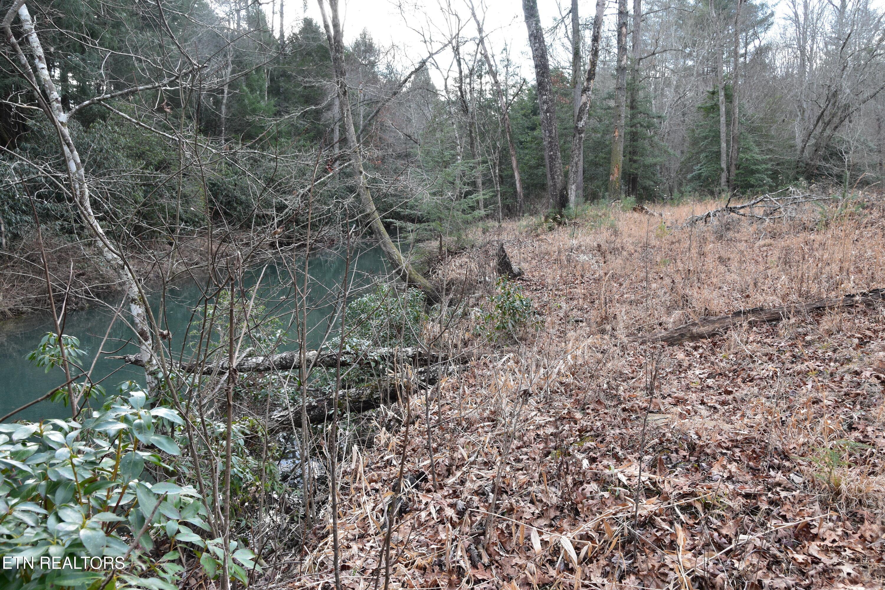 DSC_1391 - 566 William Branch Rd, Lancing, TN 37770