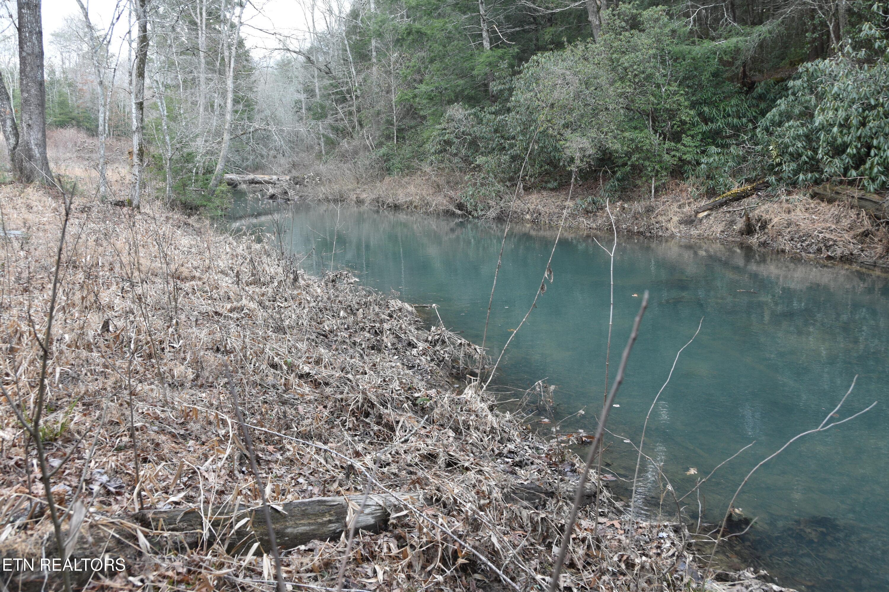 DSC_1393 - 566 William Branch Rd, Lancing, TN 37770