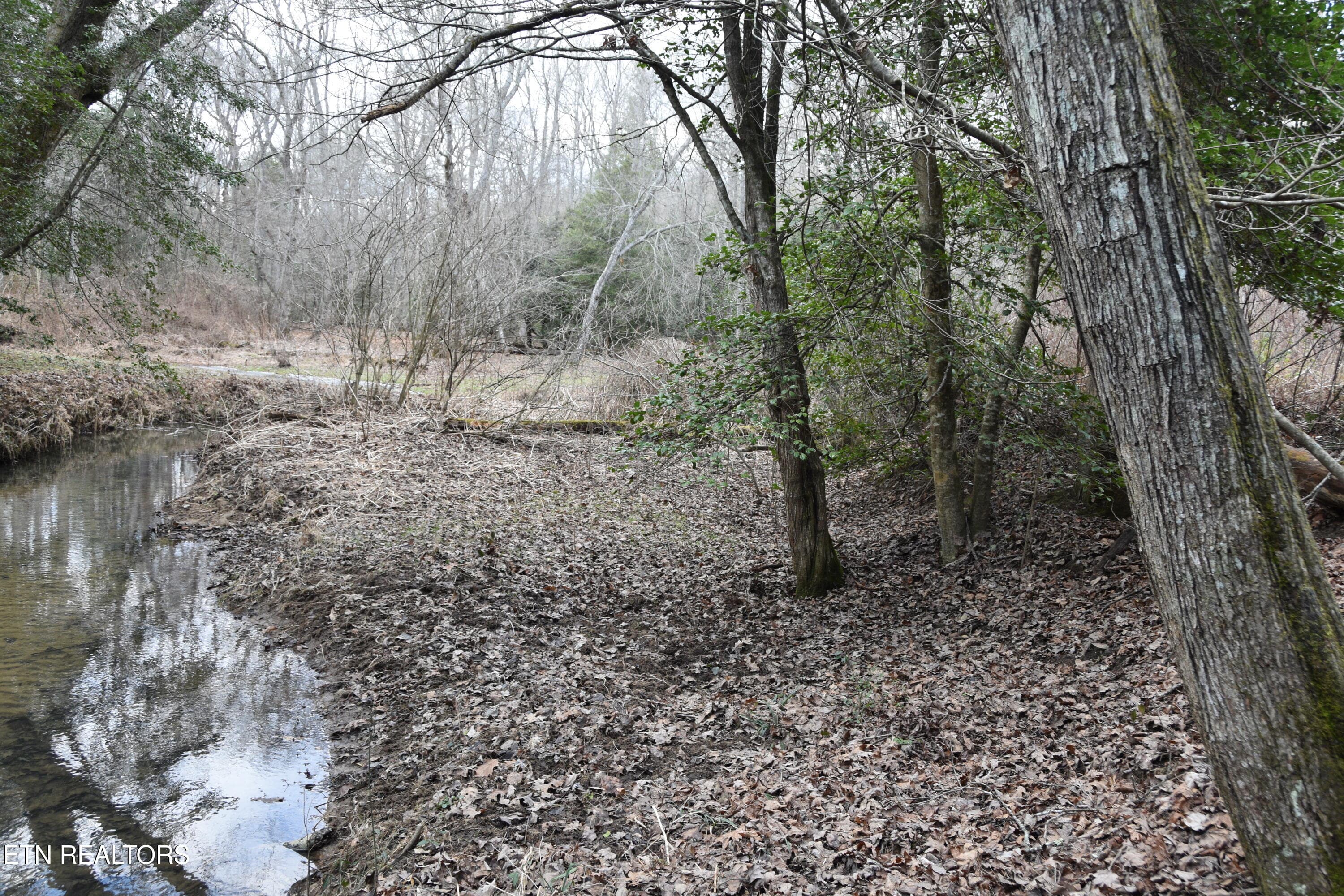 DSC_1394 - 566 William Branch Rd, Lancing, TN 37770