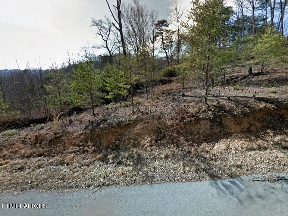 Lot 155 Emerald Pt - Emerald Pt, Sharps Chapel, TN 37866