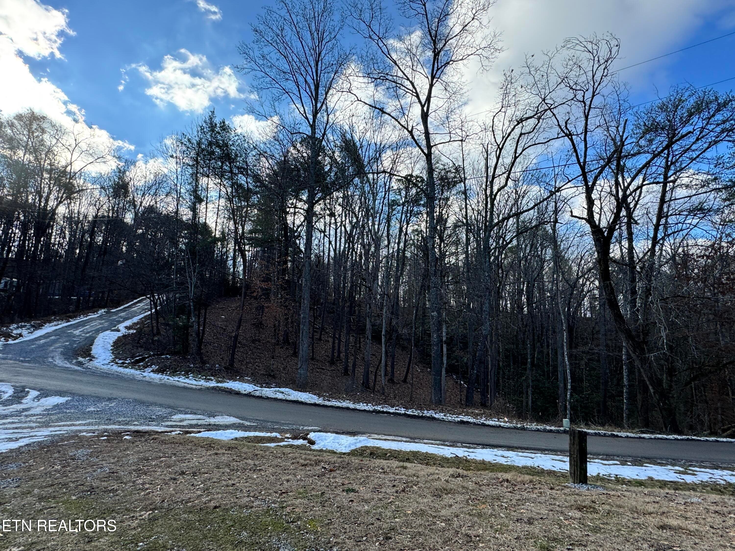 8.09 Acres - 12 lots - Deerfoot Rd, Cosby, TN 37722