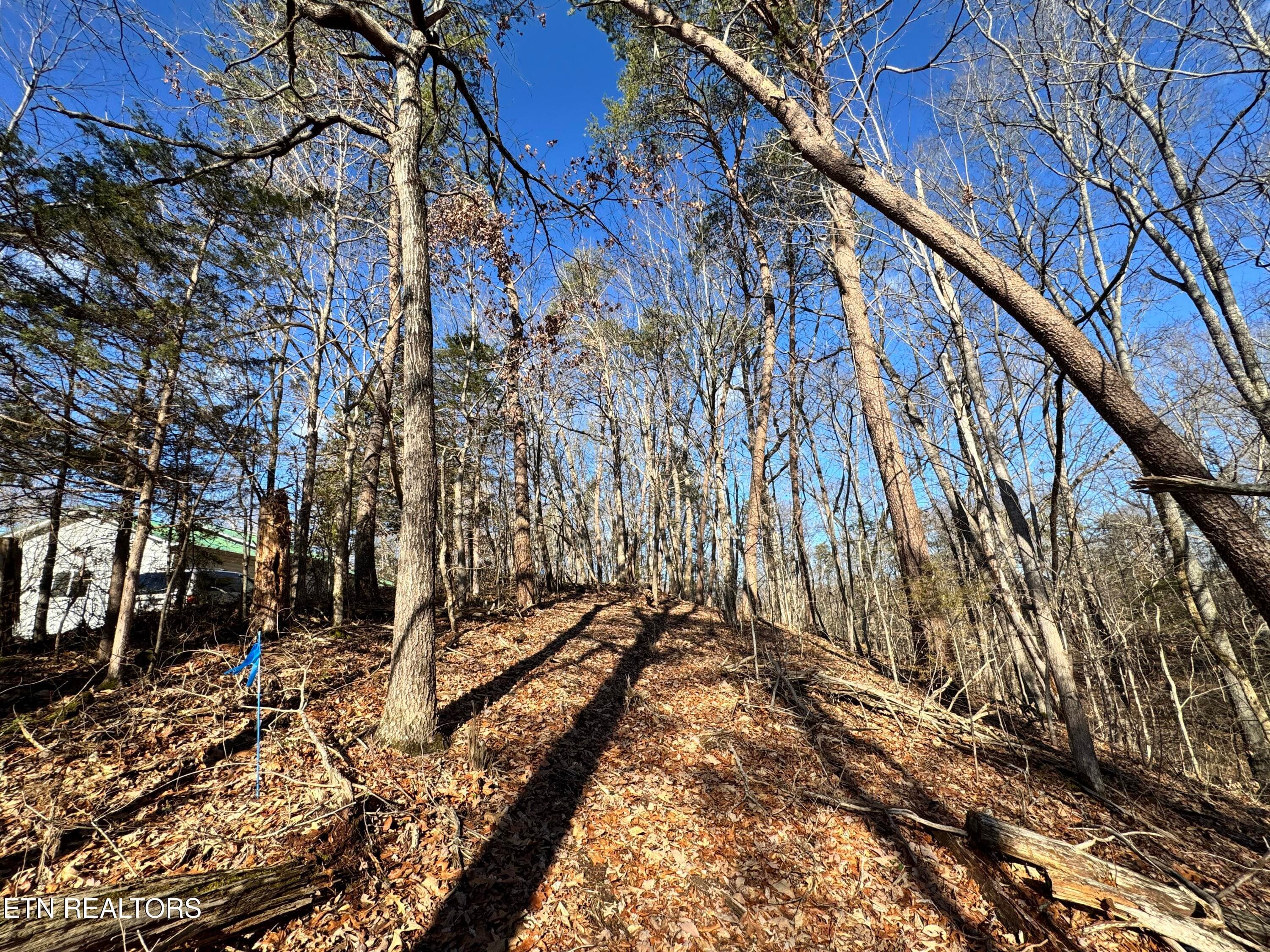8.09 Acres - 12 lots - Deerfoot Rd, Cosby, TN 37722