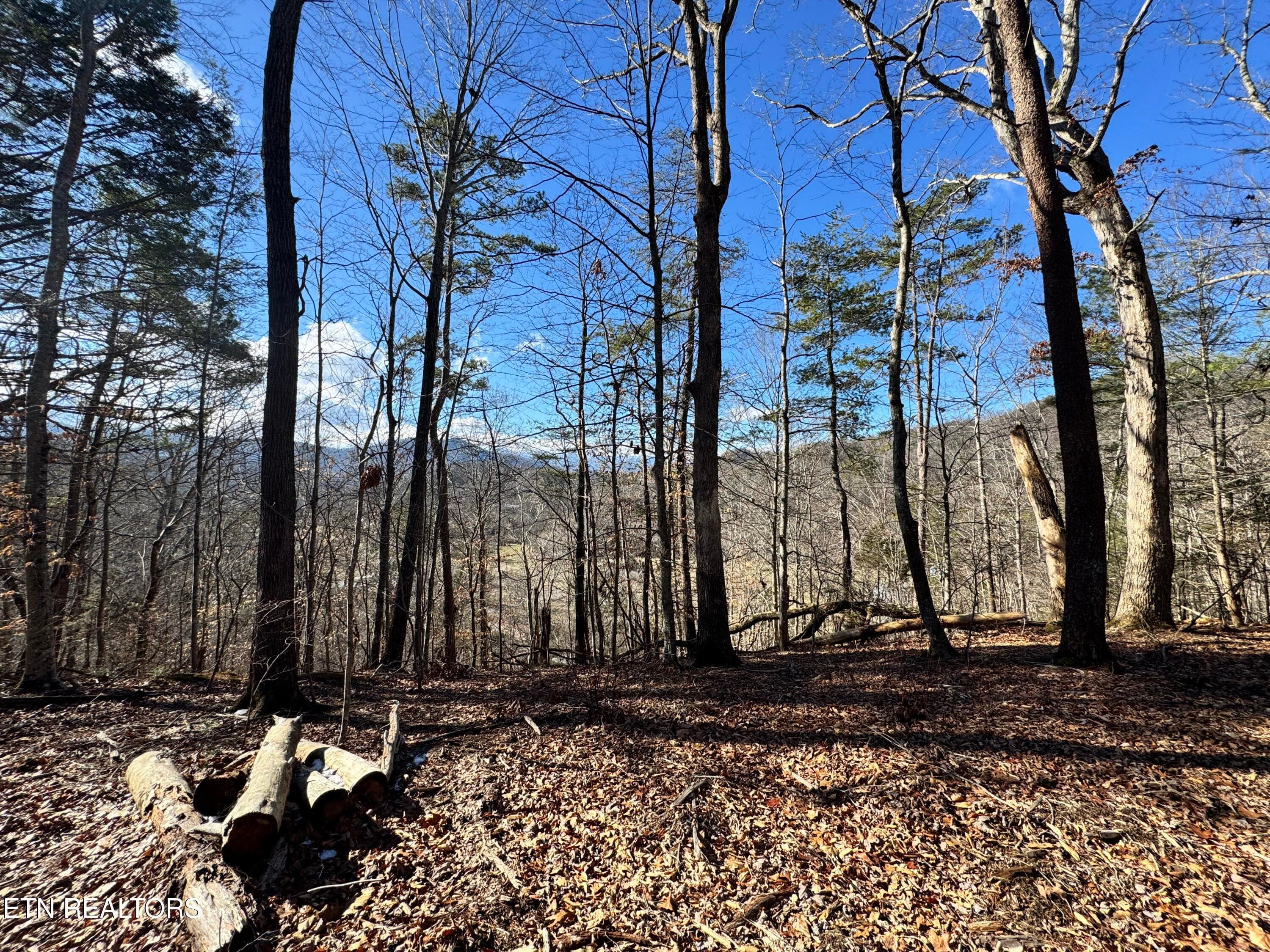 8.09 Acres - 12 lots - Deerfoot Rd, Cosby, TN 37722