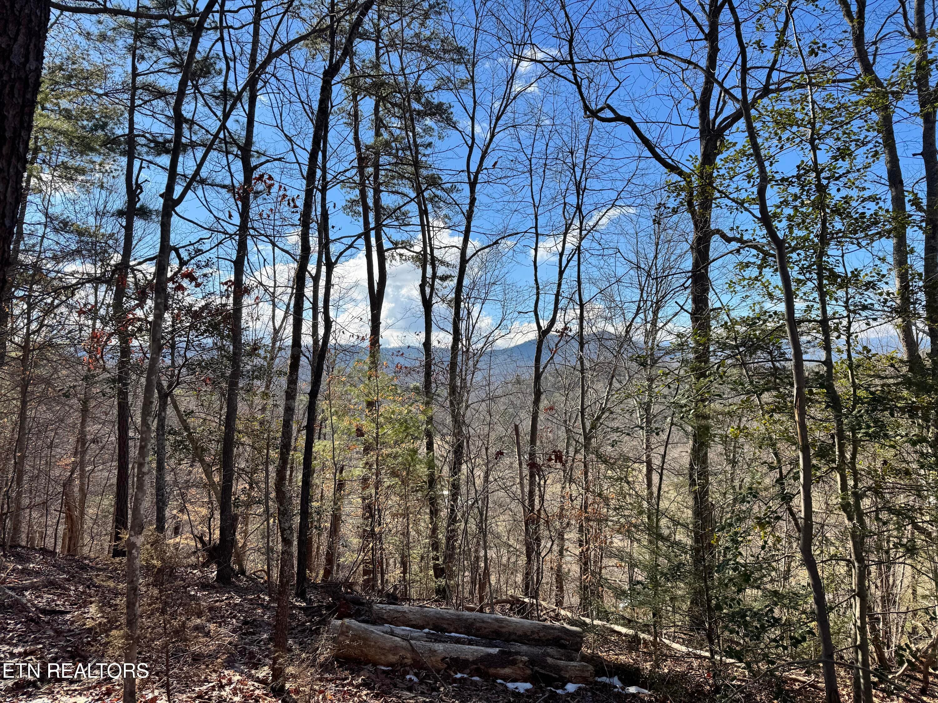 Deerfoot Rd, Cosby, TN 37722