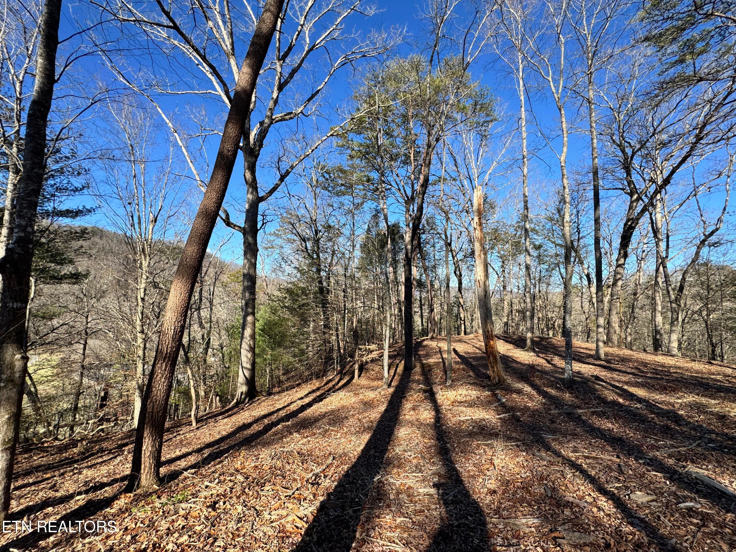 8.09 Acres - 12 lots - Deerfoot Rd, Cosby, TN 37722