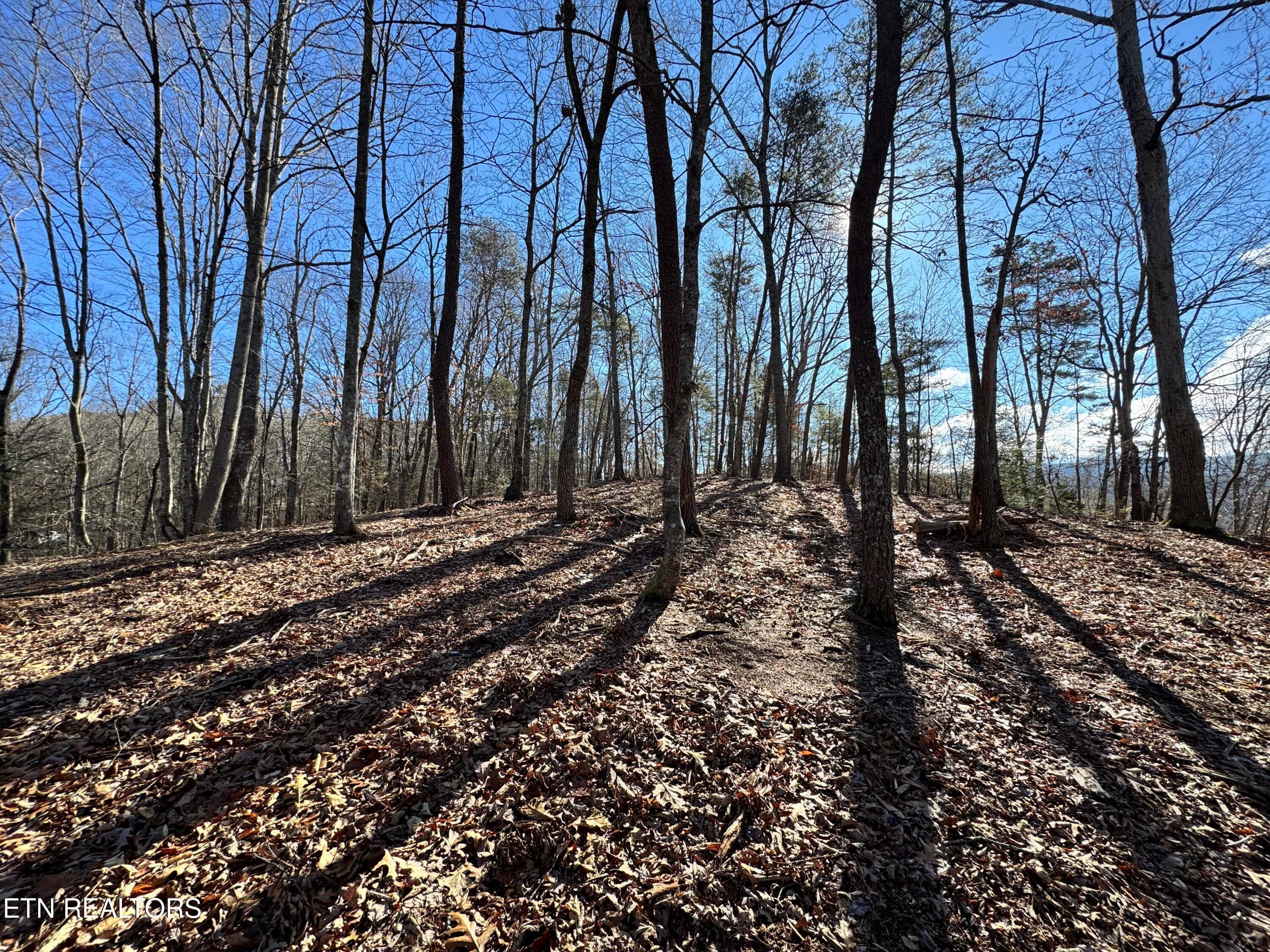 8.09 Acres - 12 lots - Deerfoot Rd, Cosby, TN 37722