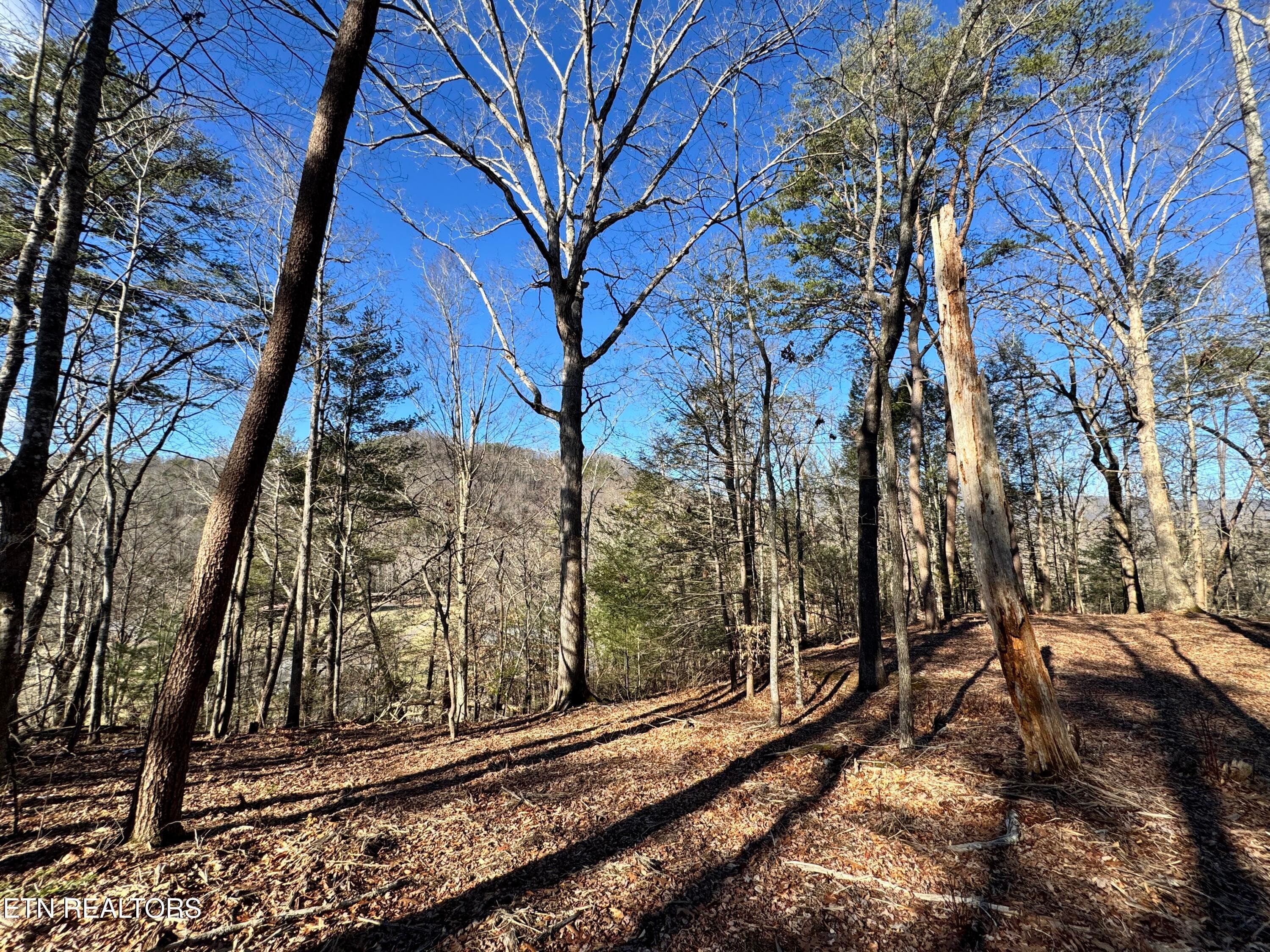 8.09 Acres - 12 lots - Deerfoot Rd, Cosby, TN 37722