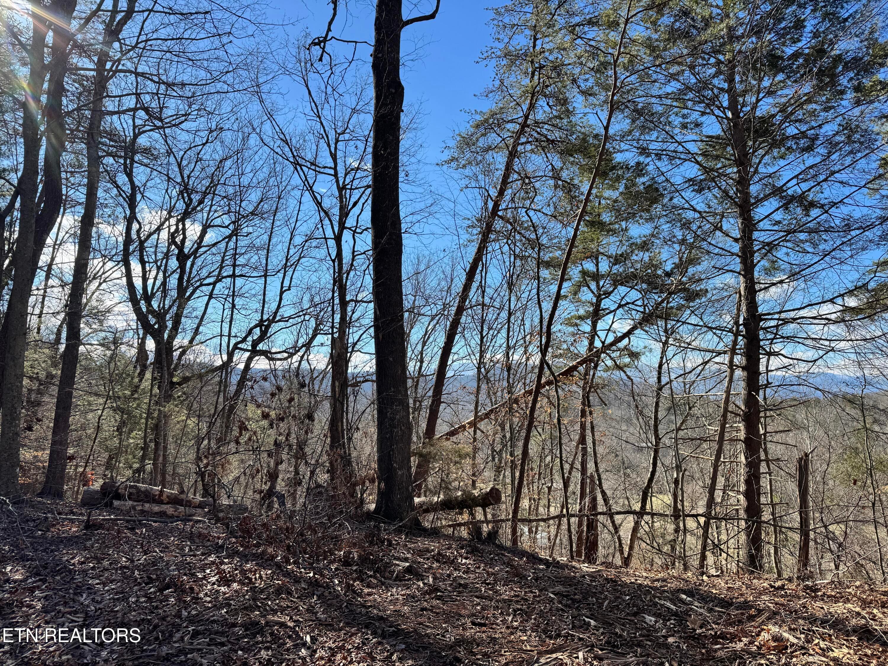 8.09 Acres - 12 lots - Deerfoot Rd, Cosby, TN 37722