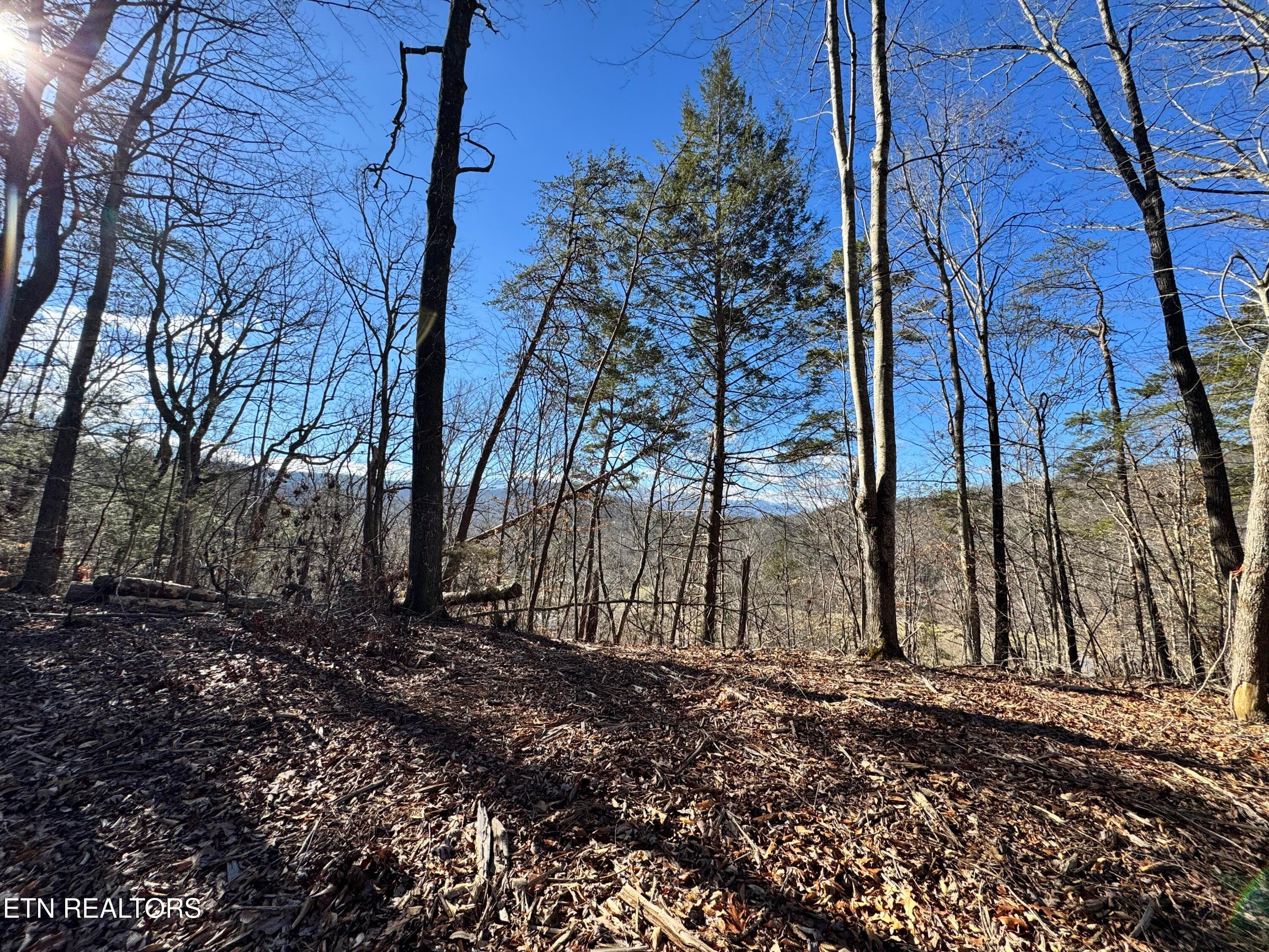 8.09 Acres - 12 lots - Deerfoot Rd, Cosby, TN 37722