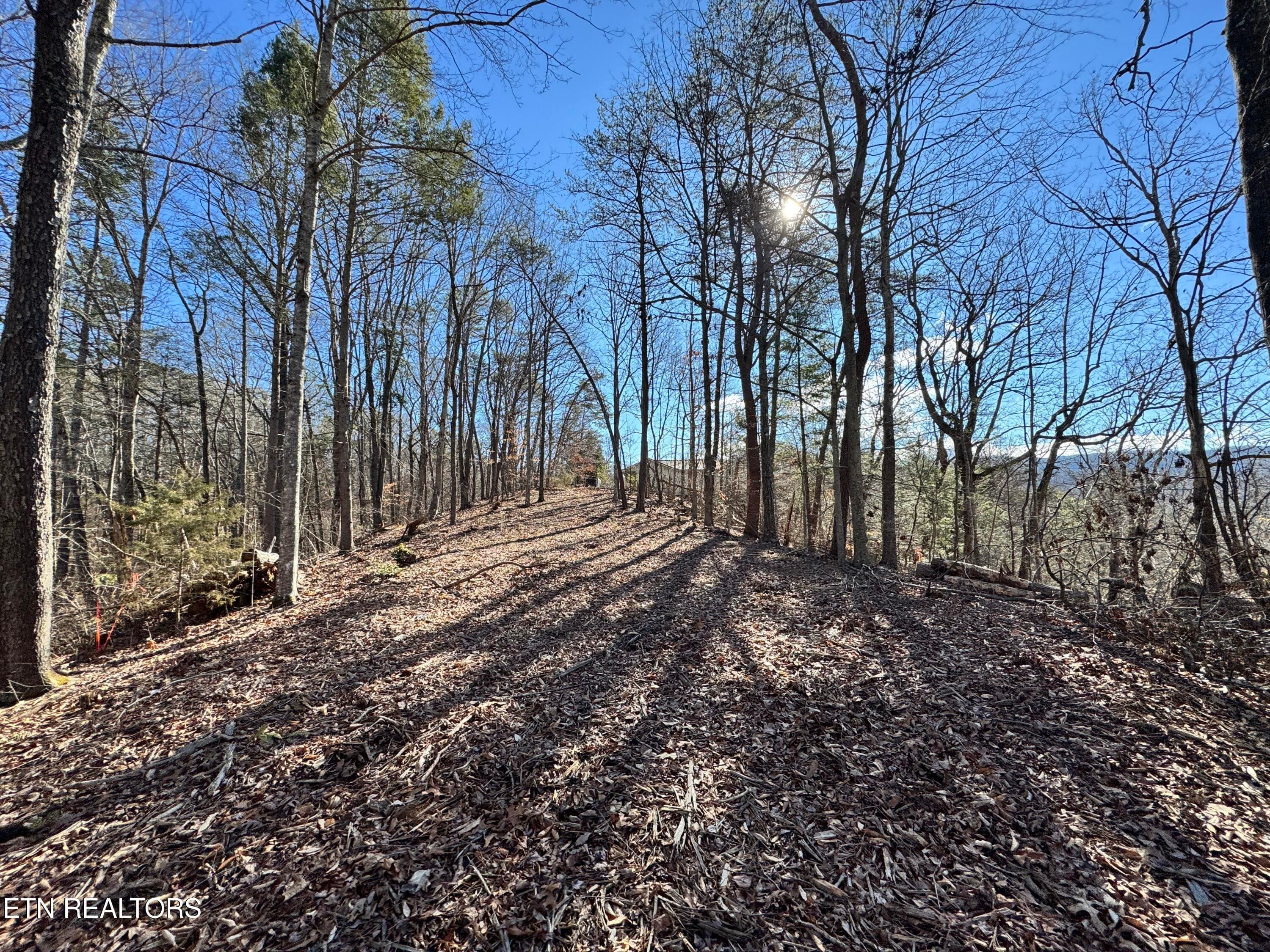8.09 Acres - 12 lots - Deerfoot Rd, Cosby, TN 37722