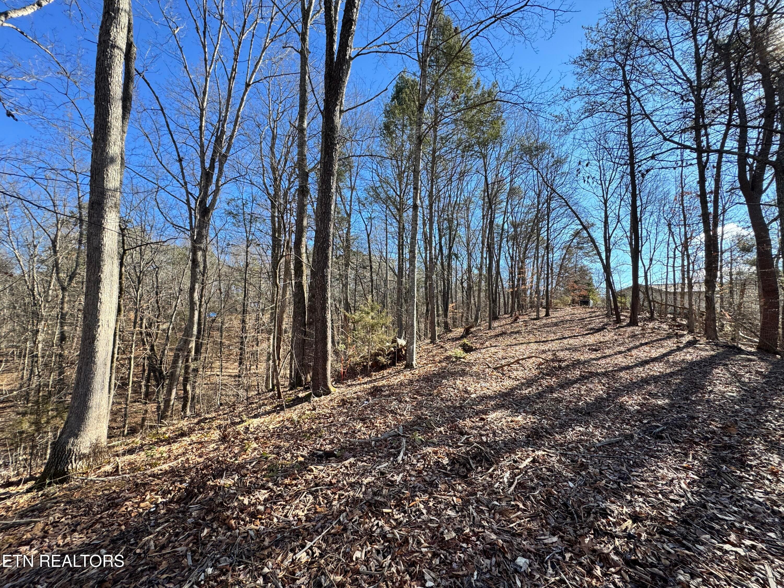 8.09 Acres - 12 lots - Deerfoot Rd, Cosby, TN 37722