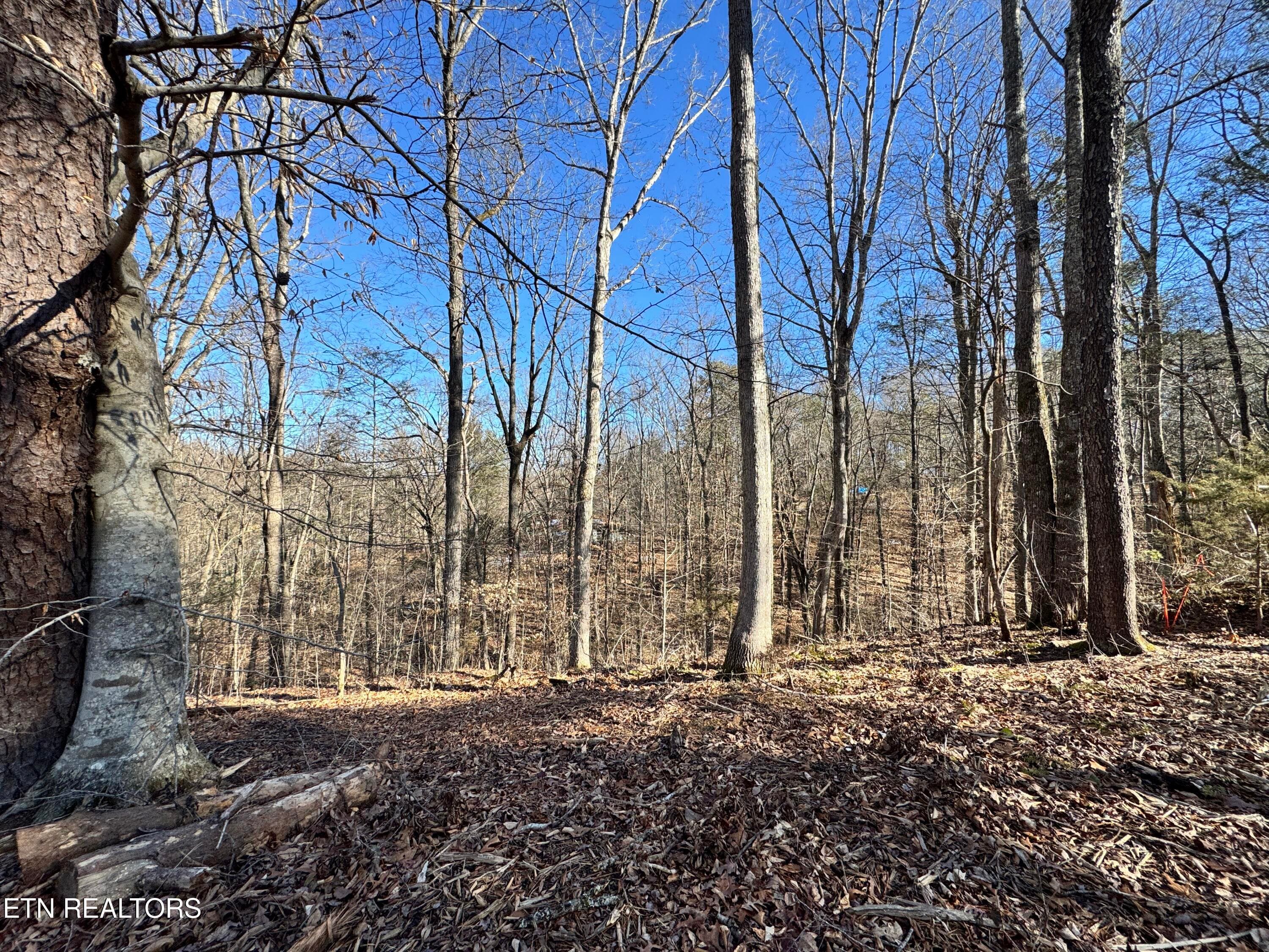 8.09 Acres - 12 lots - Deerfoot Rd, Cosby, TN 37722