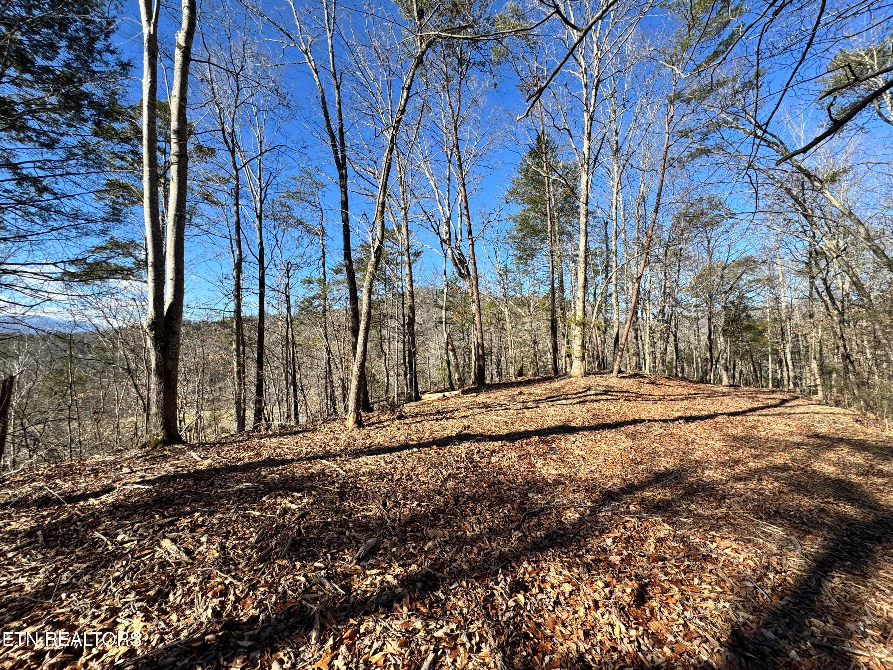 8.09 Acres - 12 lots - Deerfoot Rd, Cosby, TN 37722