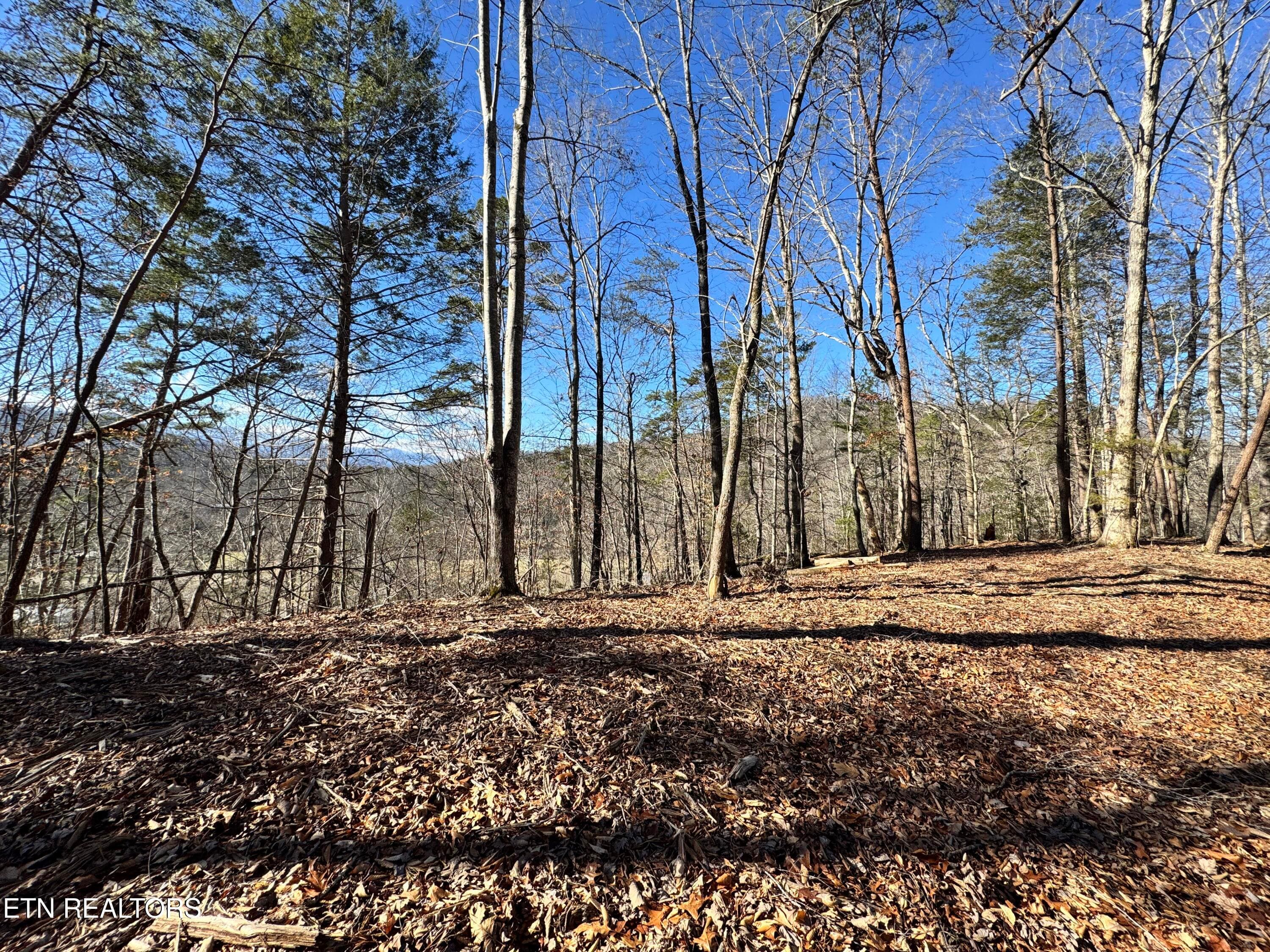 8.09 Acres - 12 lots - Deerfoot Rd, Cosby, TN 37722