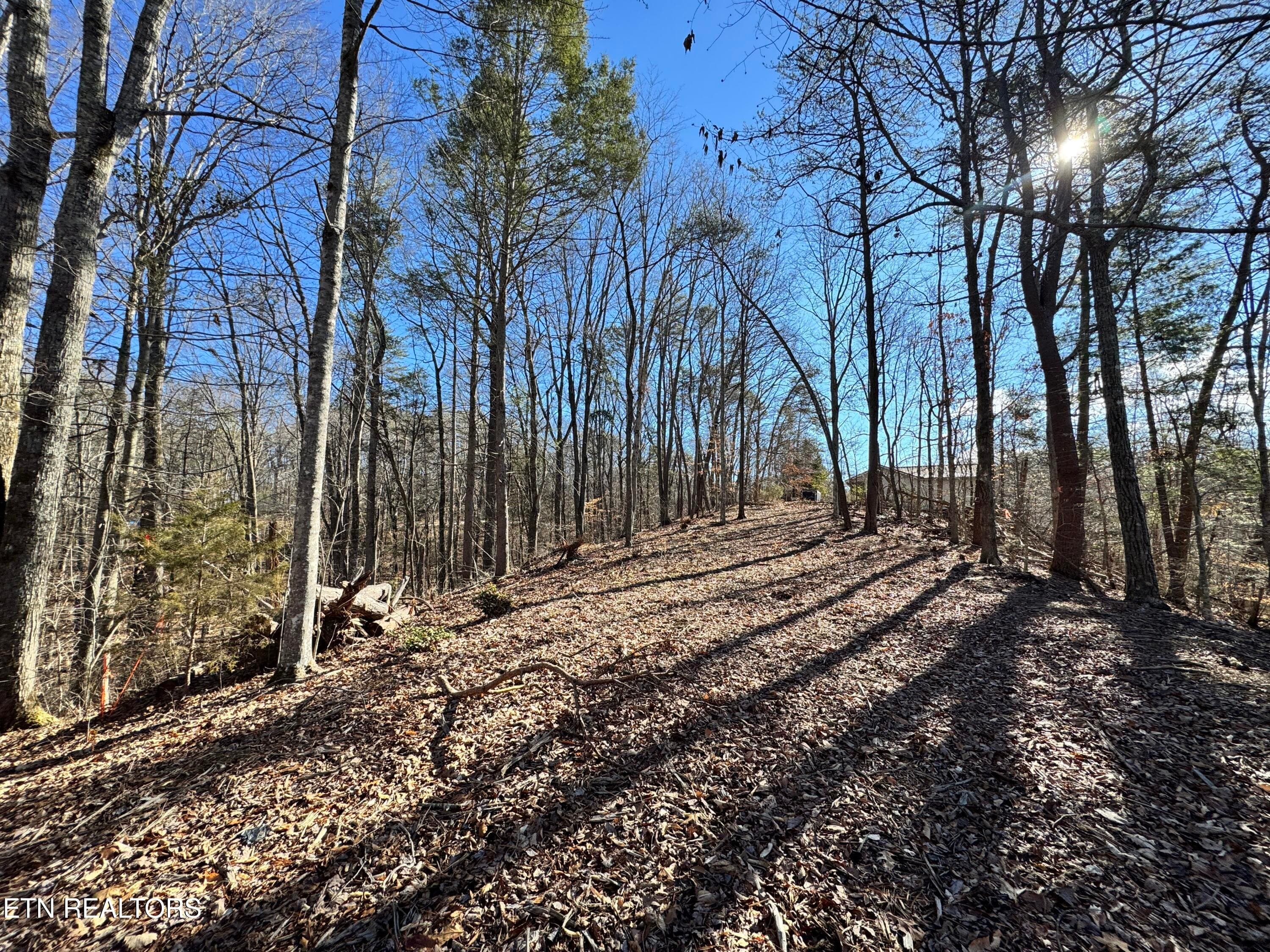 8.09 Acres - 12 lots - Deerfoot Rd, Cosby, TN 37722