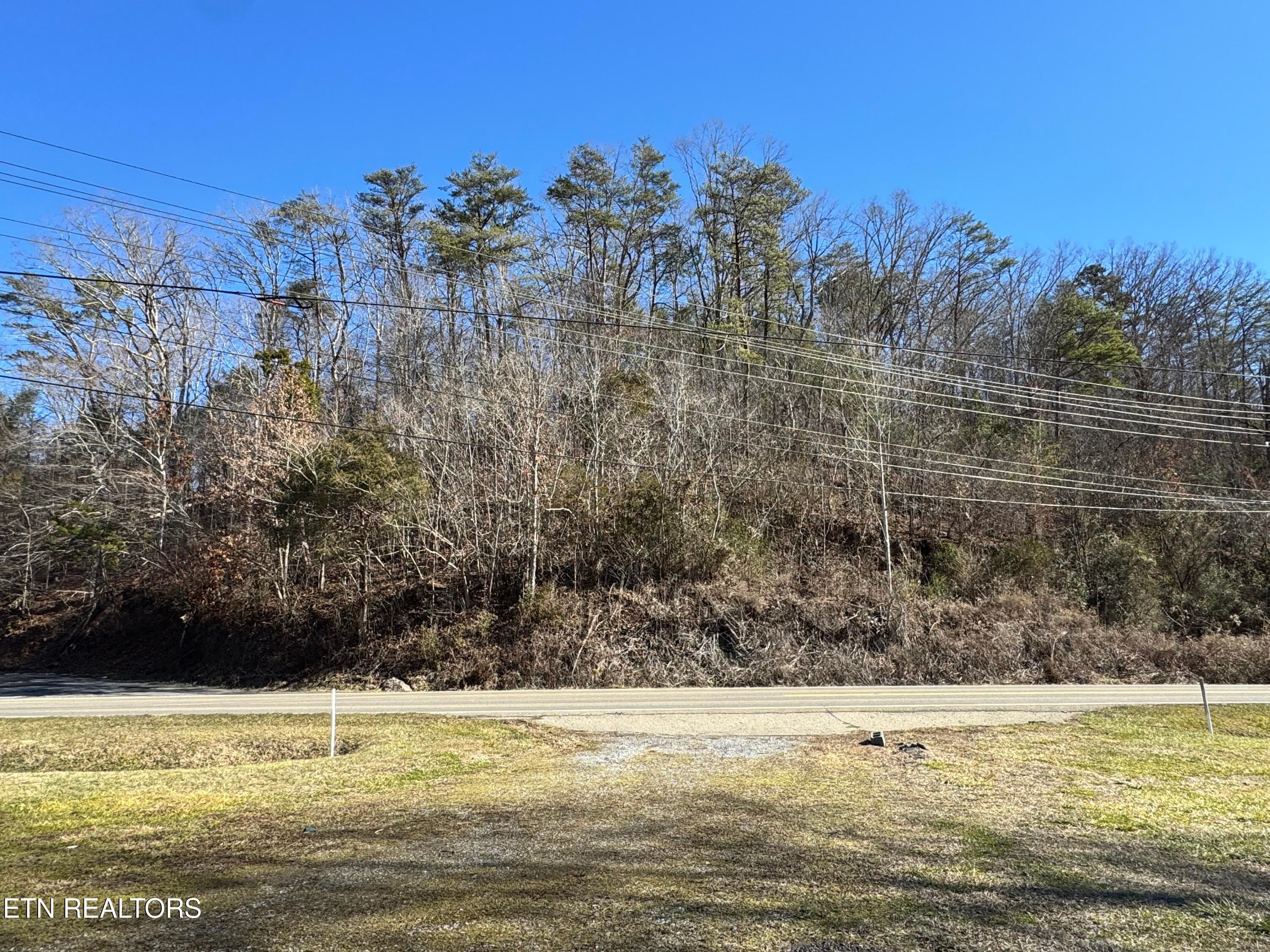 8.09 Acres - 12 lots - Deerfoot Rd, Cosby, TN 37722