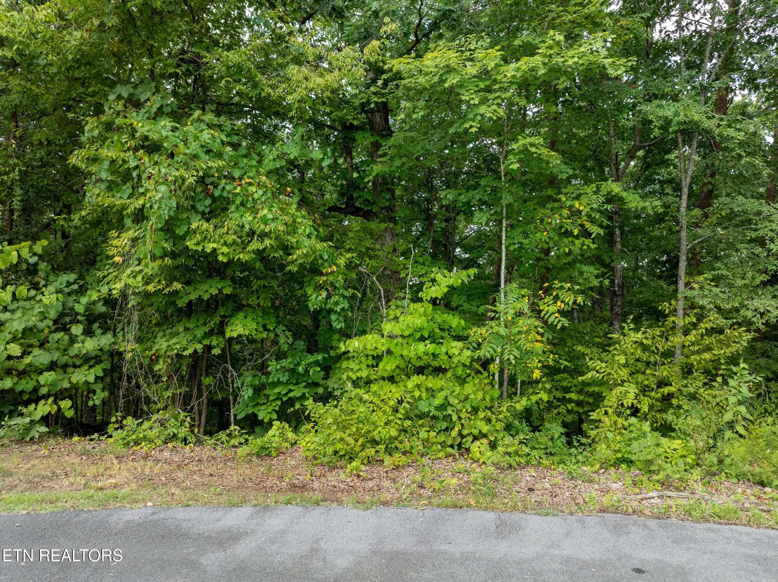 blue-bird-lane-lot-2 - Lot 56 Blue Byrd Lane, Kodak, TN 37764, Kodak