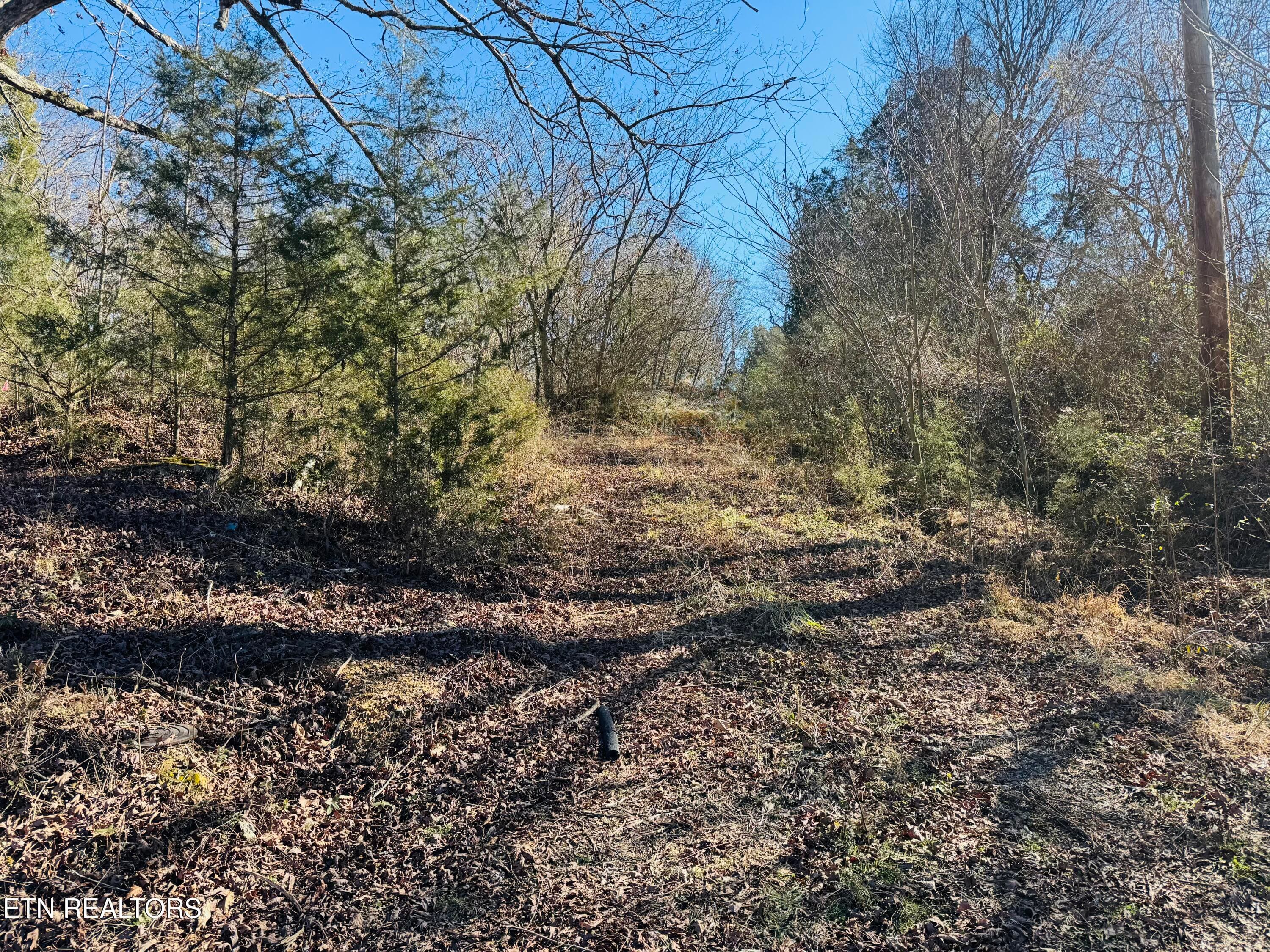IMG_4012 - 409 Carroll Hollow Rd, Clinton, TN 37716