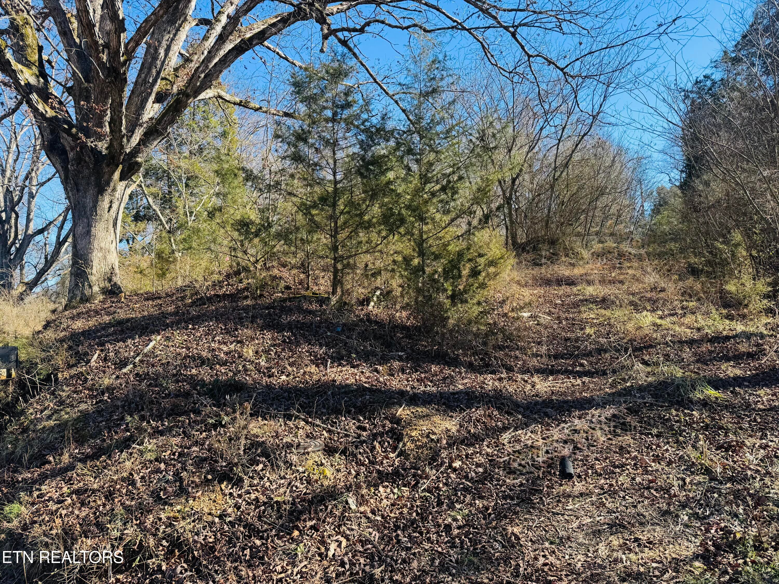 IMG_4013 - 409 Carroll Hollow Rd, Clinton, TN 37716