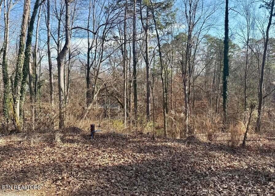 Lot 43,44, Mayflower Lane, Dandridge, TN 37725