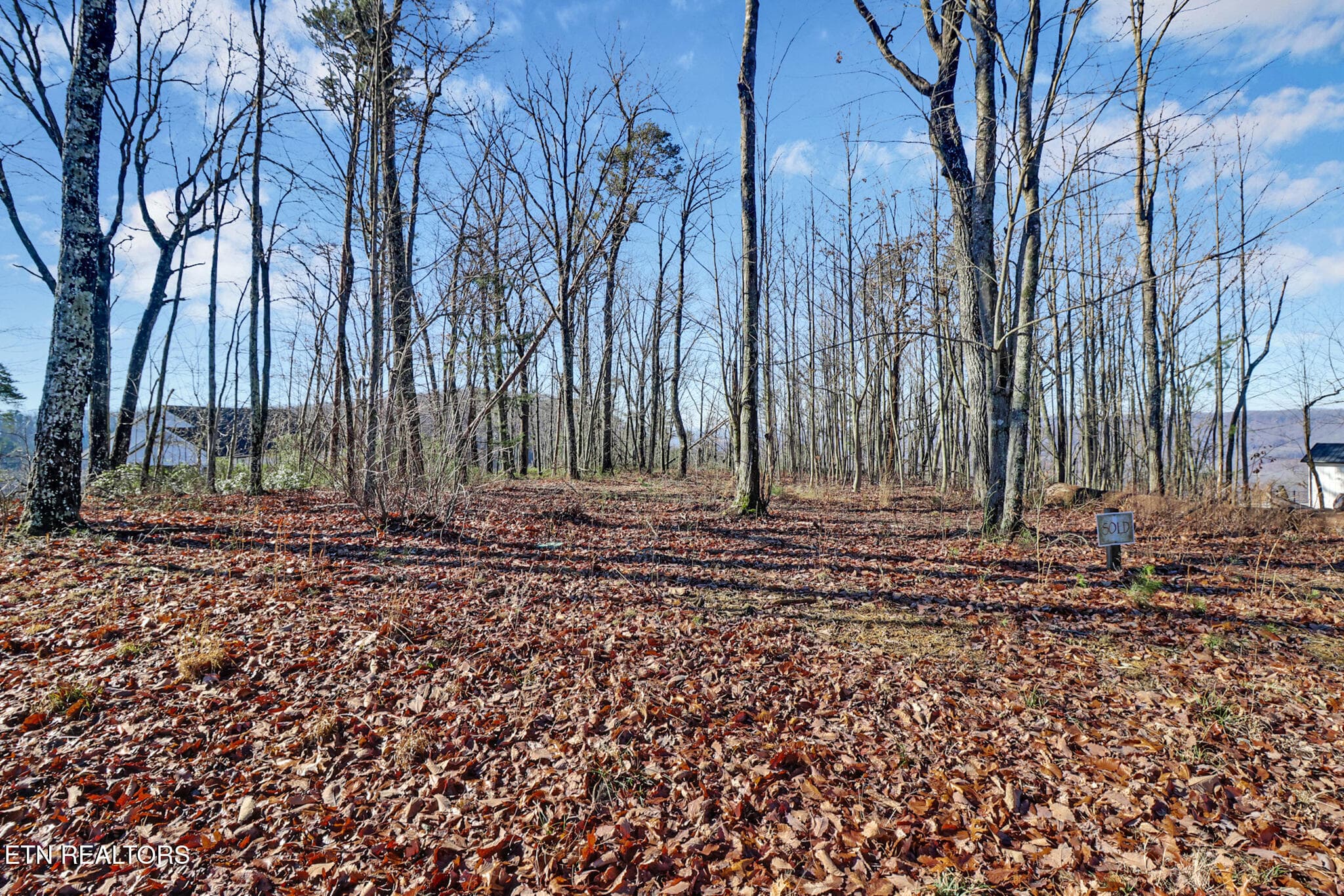 if1a8274-if1a8278 - 1309 Wind Rush Way, Monterey, TN 38574