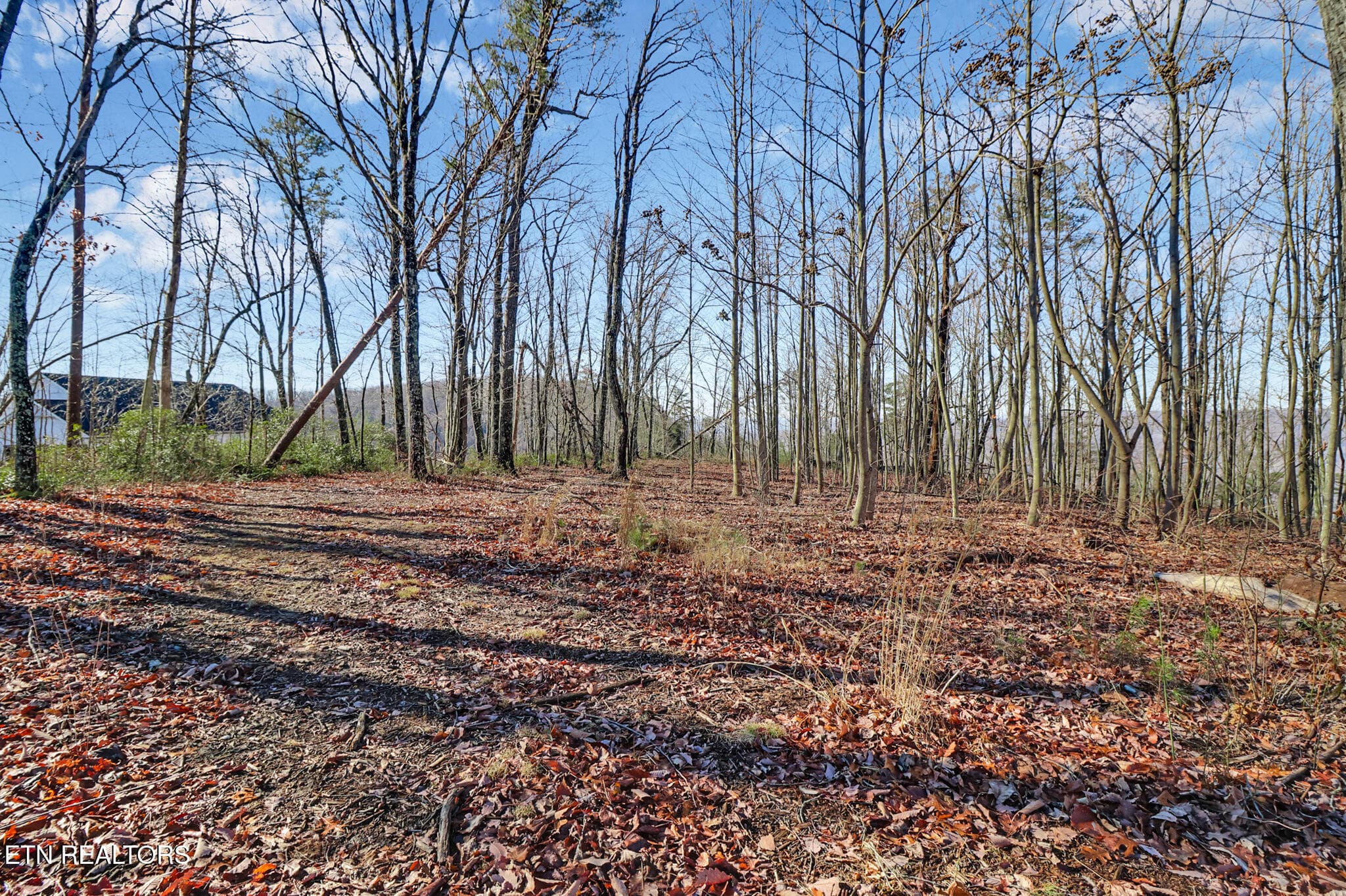 if1a8289-if1a8293 - 1309 Wind Rush Way, Monterey, TN 38574
