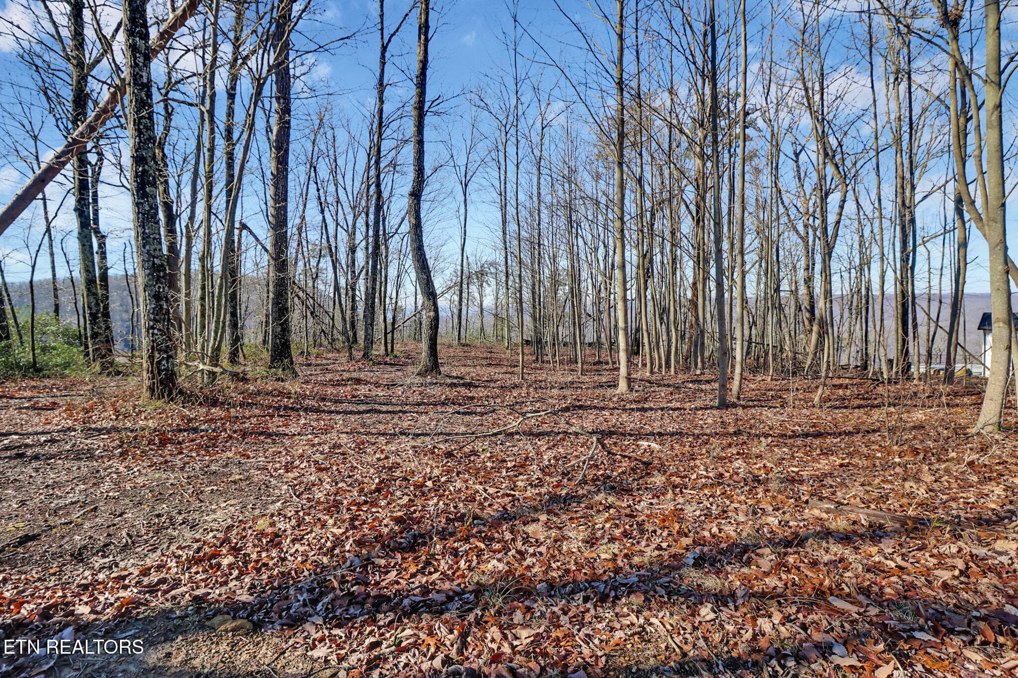 if1a8294-if1a8298 - 1309 Wind Rush Way, Monterey, TN 38574