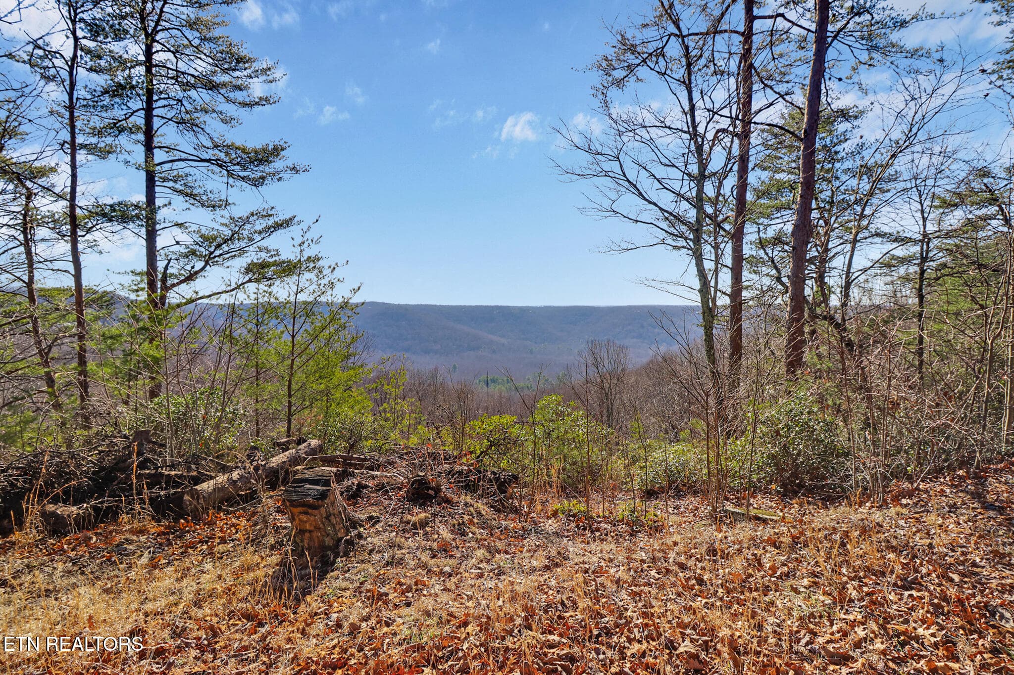 if1a8314-if1a8318 - 1309 Wind Rush Way, Monterey, TN 38574