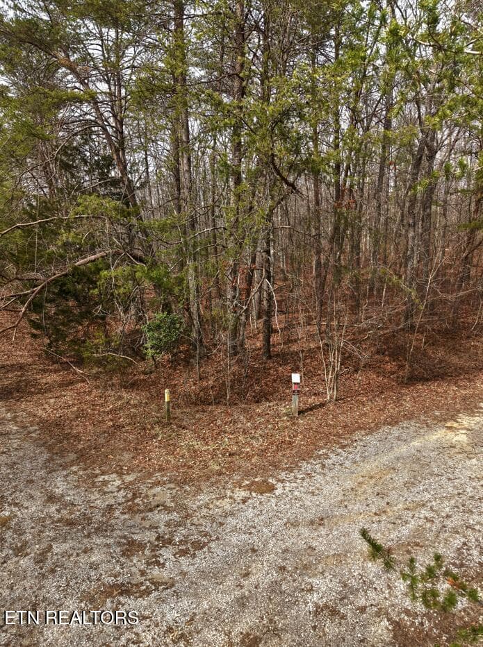 2 - 443 Marmaduke Drive, Crossville, TN 38558