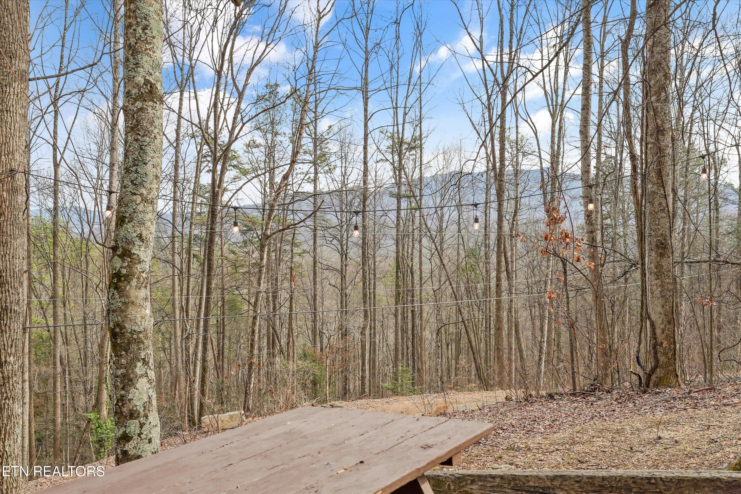 IMG_2825 - 1103 Villa Lane, Gatlinburg, TN 37738, Gatlinburg