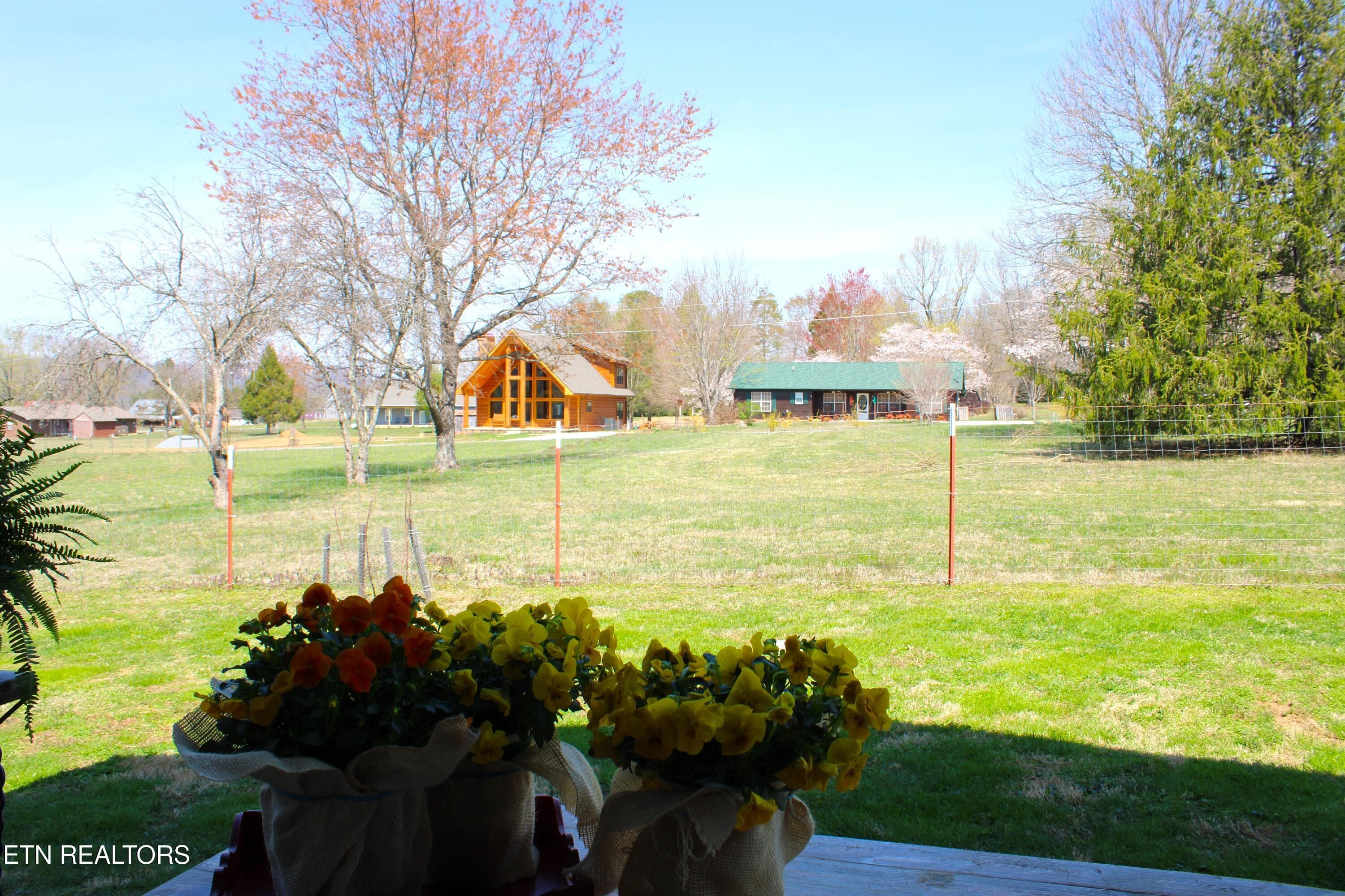 back yard - 3623 Shelby Drive, Sevierville, TN 37862