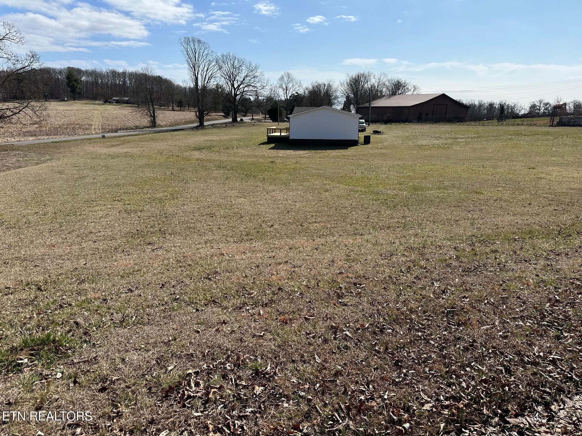 IMG_5341 - 165 Tower Rd, Grandview, TN 37337