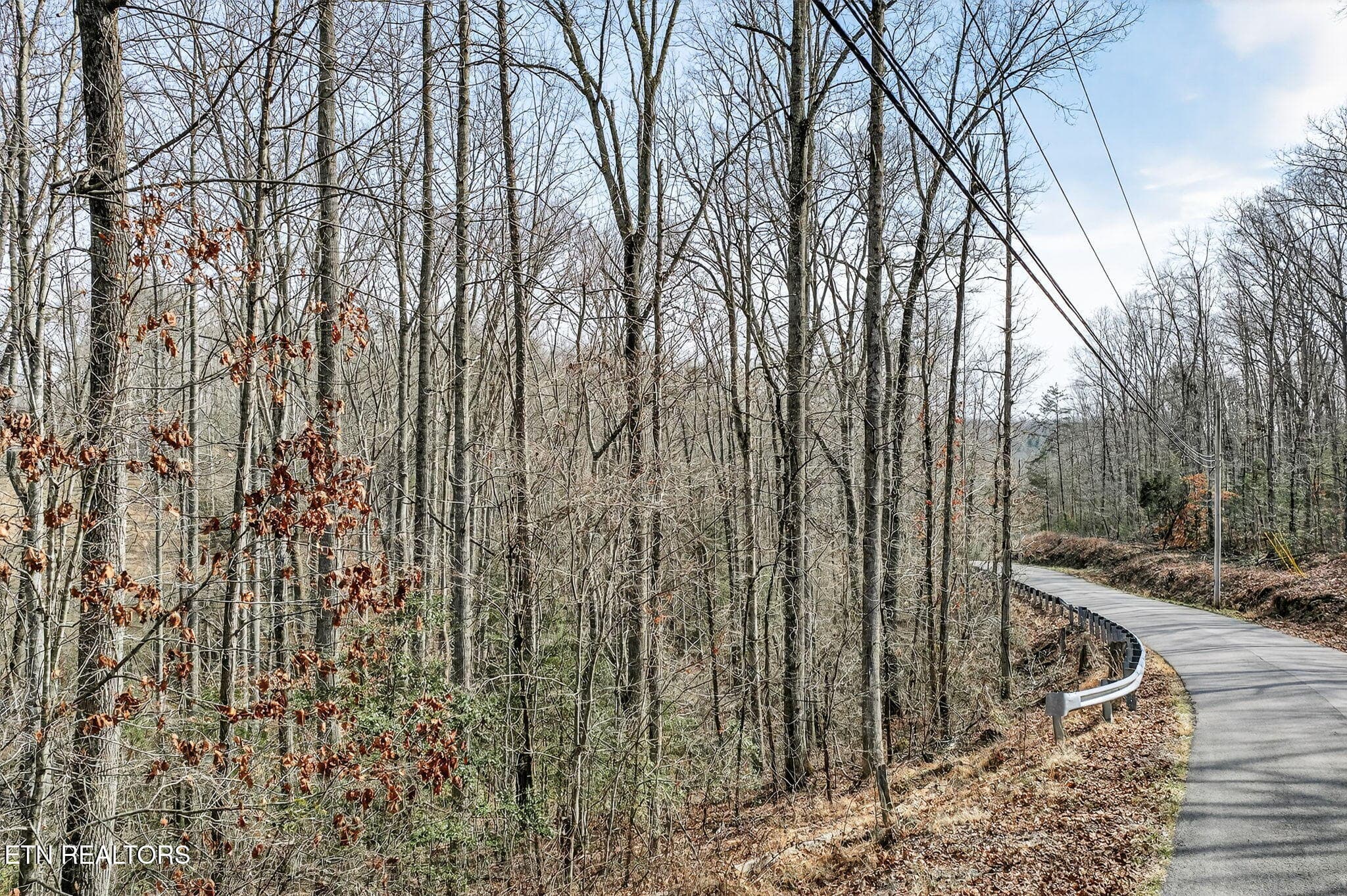 1-web-or-mls-Dogwood Grandview_001_TNPC - Dogwood Rd, Grandview, TN 37337