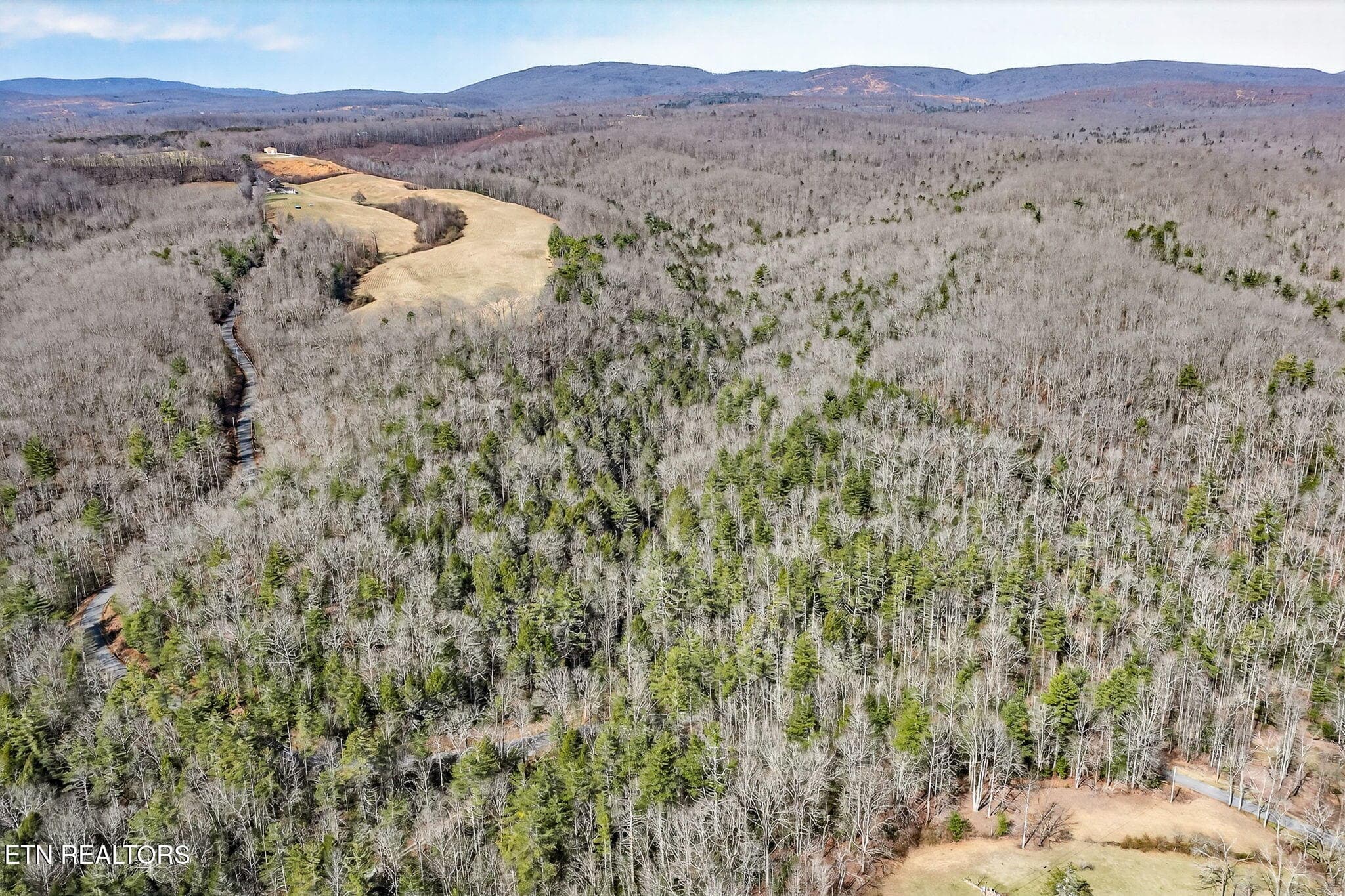 3-web-or-mls-Dogwood Grandview_009_TNPC - Dogwood Rd, Grandview, TN 37337