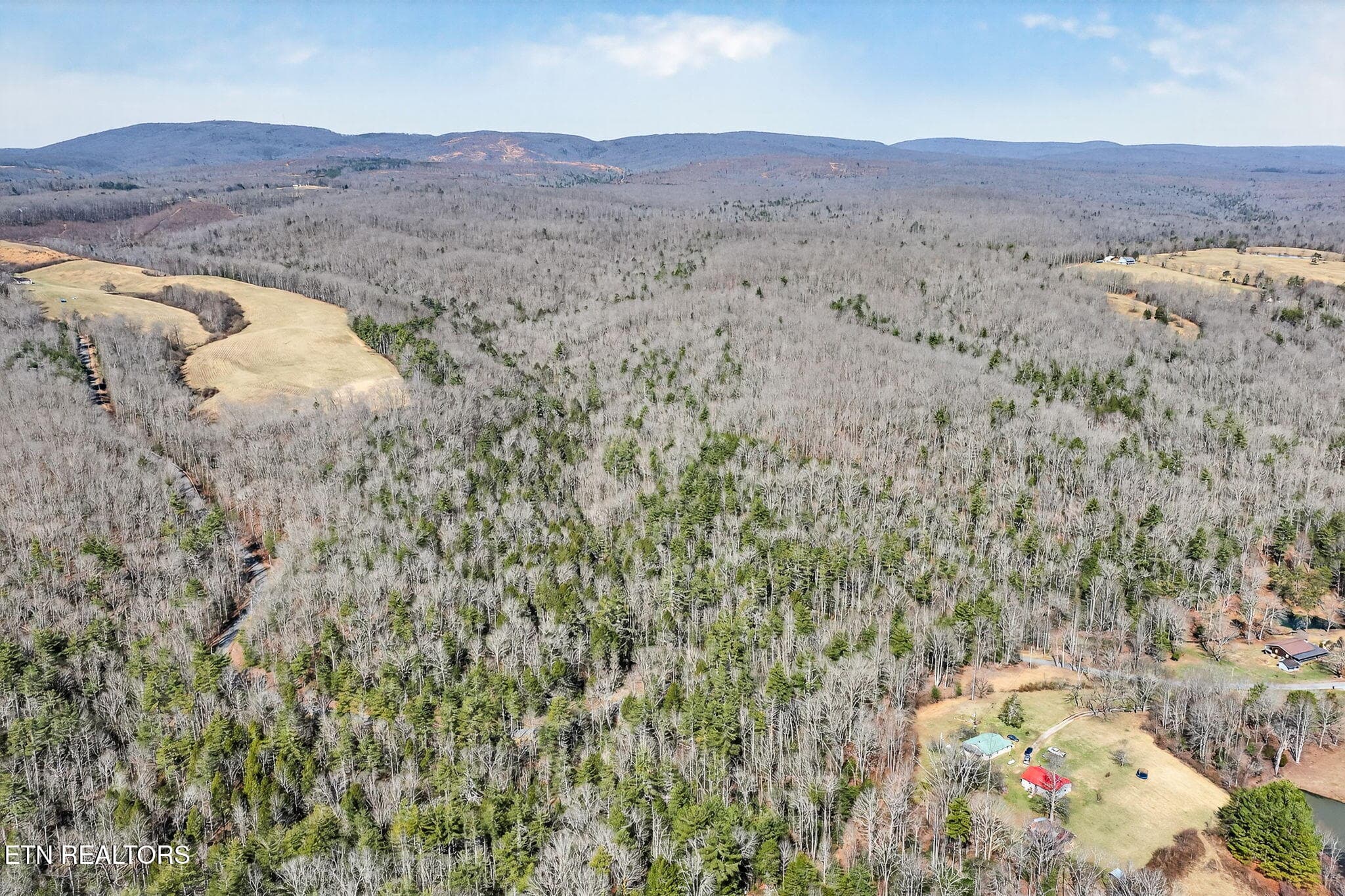 7-web-or-mls-Dogwood Grandview_024_TNPC - Dogwood Rd, Grandview, TN 37337