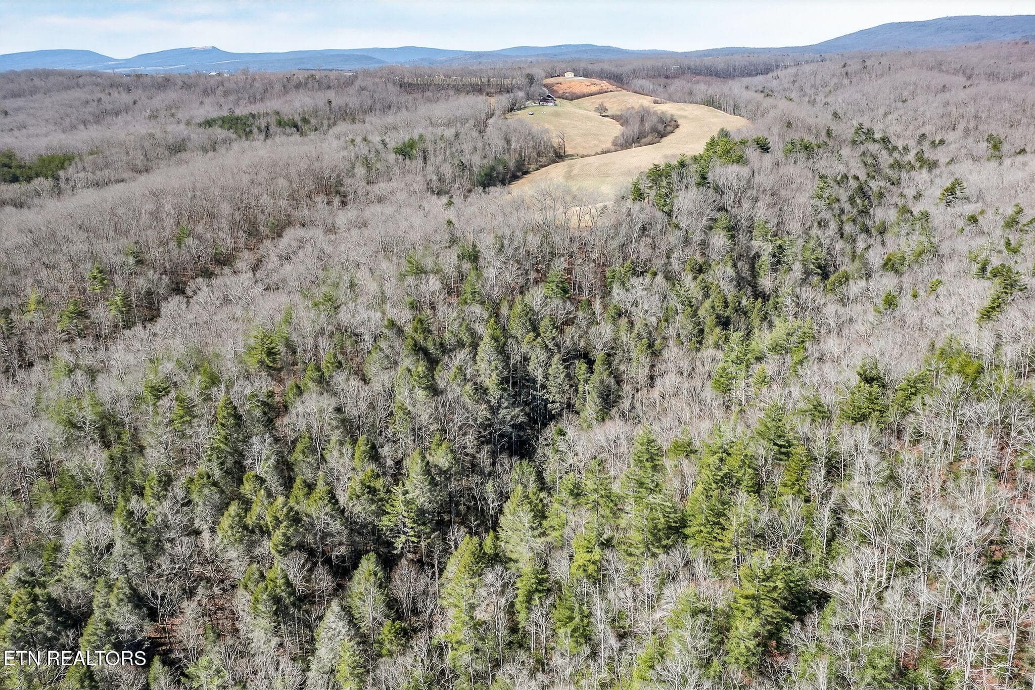 10-web-or-mls-Dogwood Grandview_028_TNPC - Dogwood Rd, Grandview, TN 37337