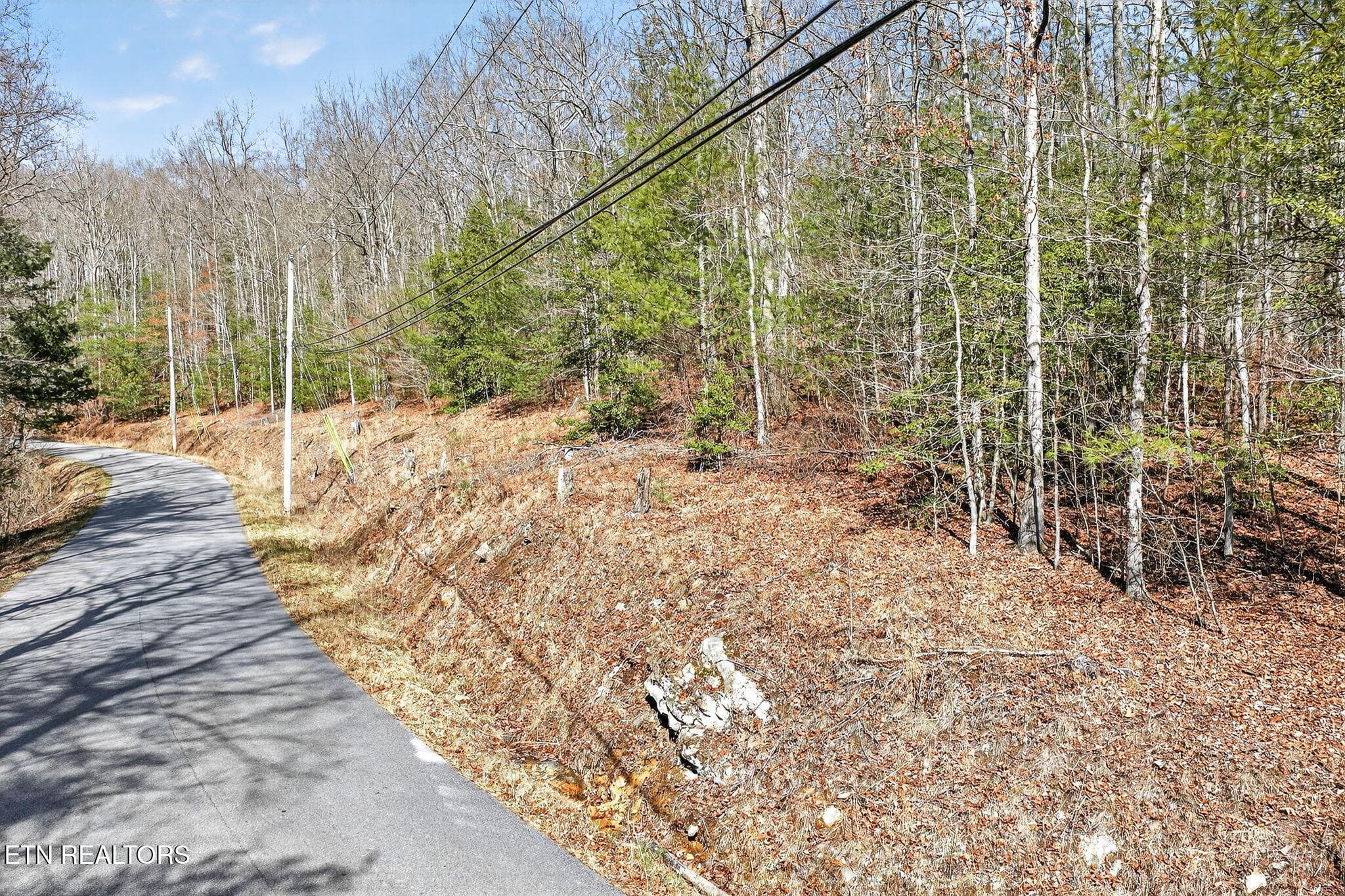 15-web-or-mls-Dogwood Grandview_043_TNPC - Dogwood Rd, Grandview, TN 37337